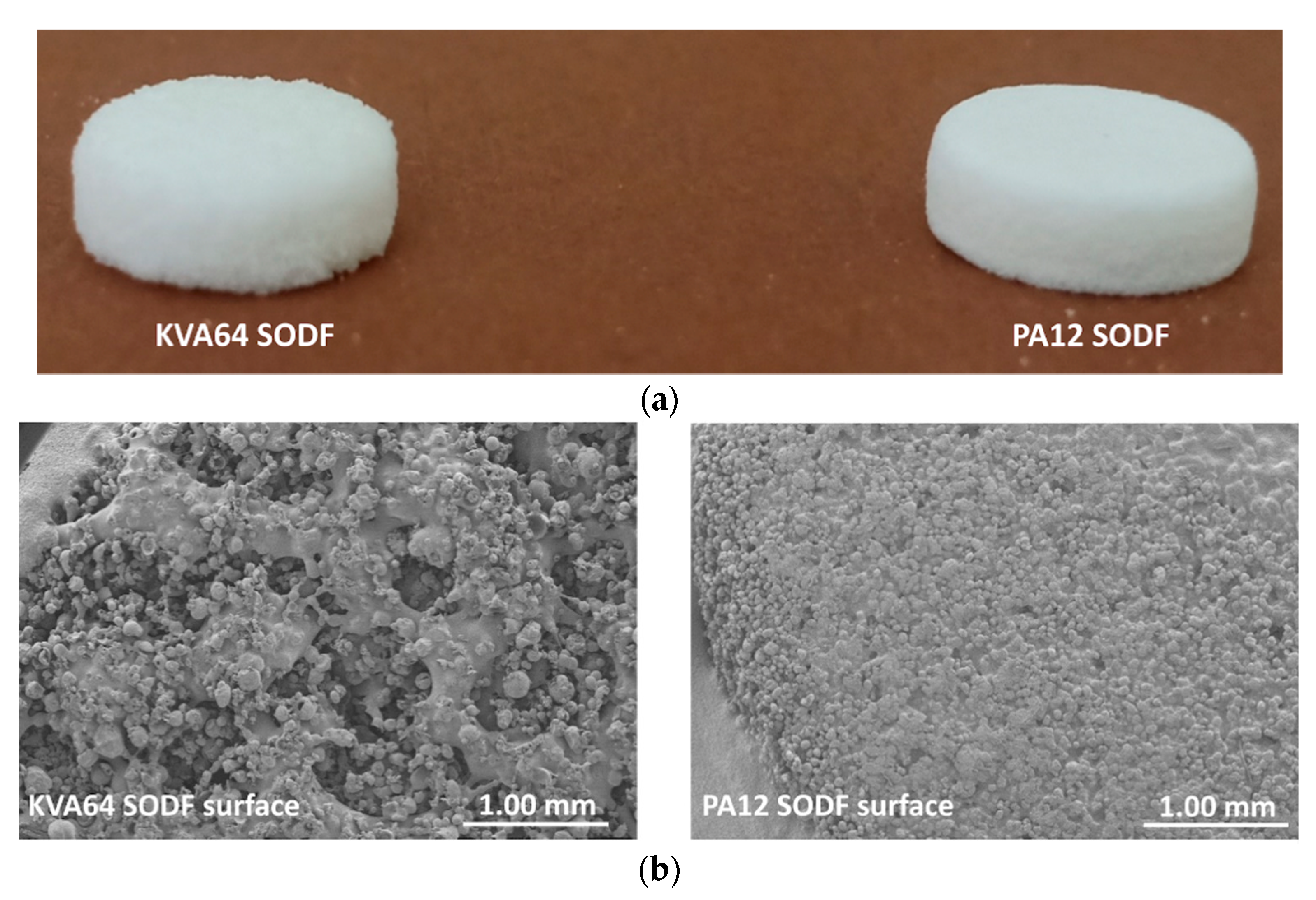 Pharmaceutics 13 00160 g007