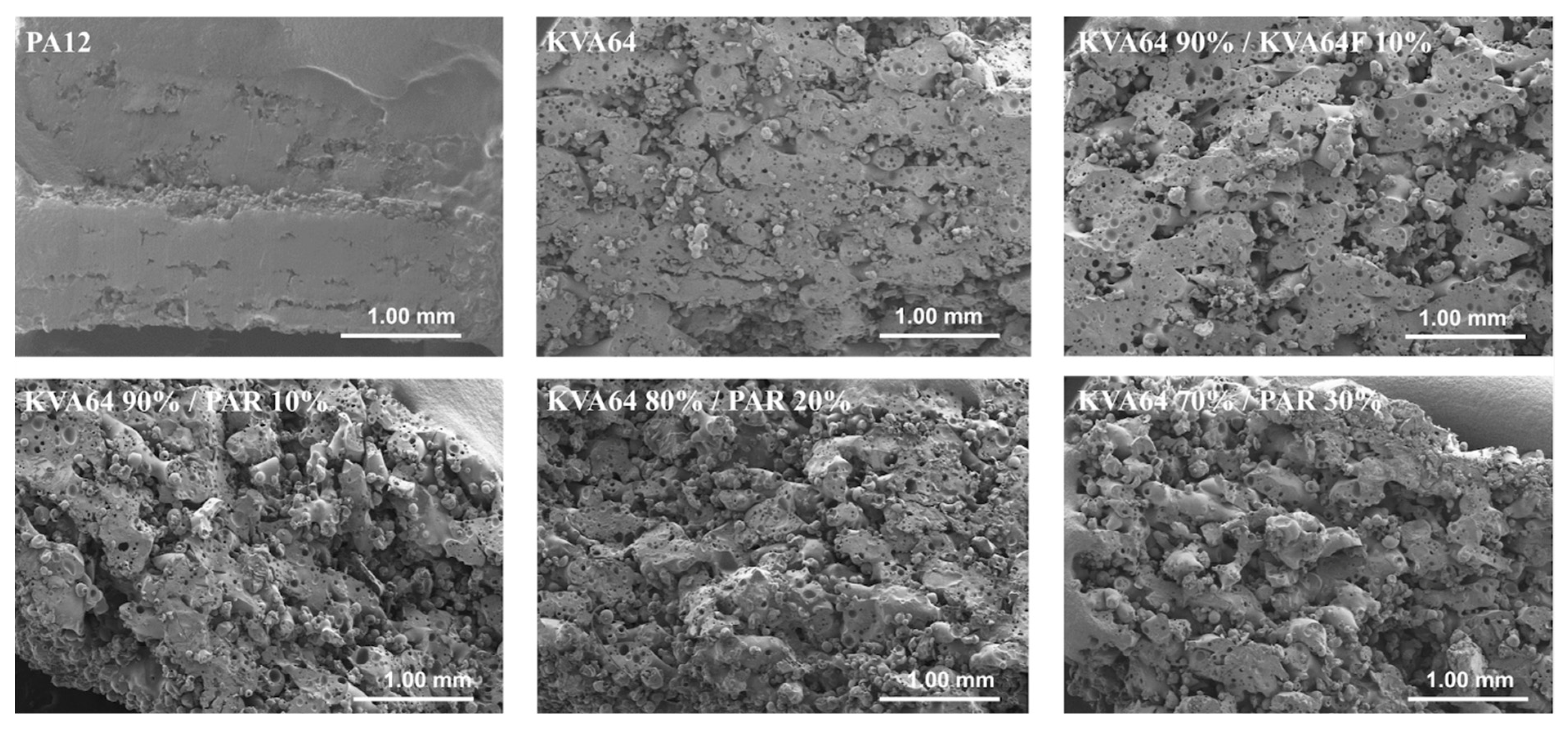 Pharmaceutics 13 00160 g008