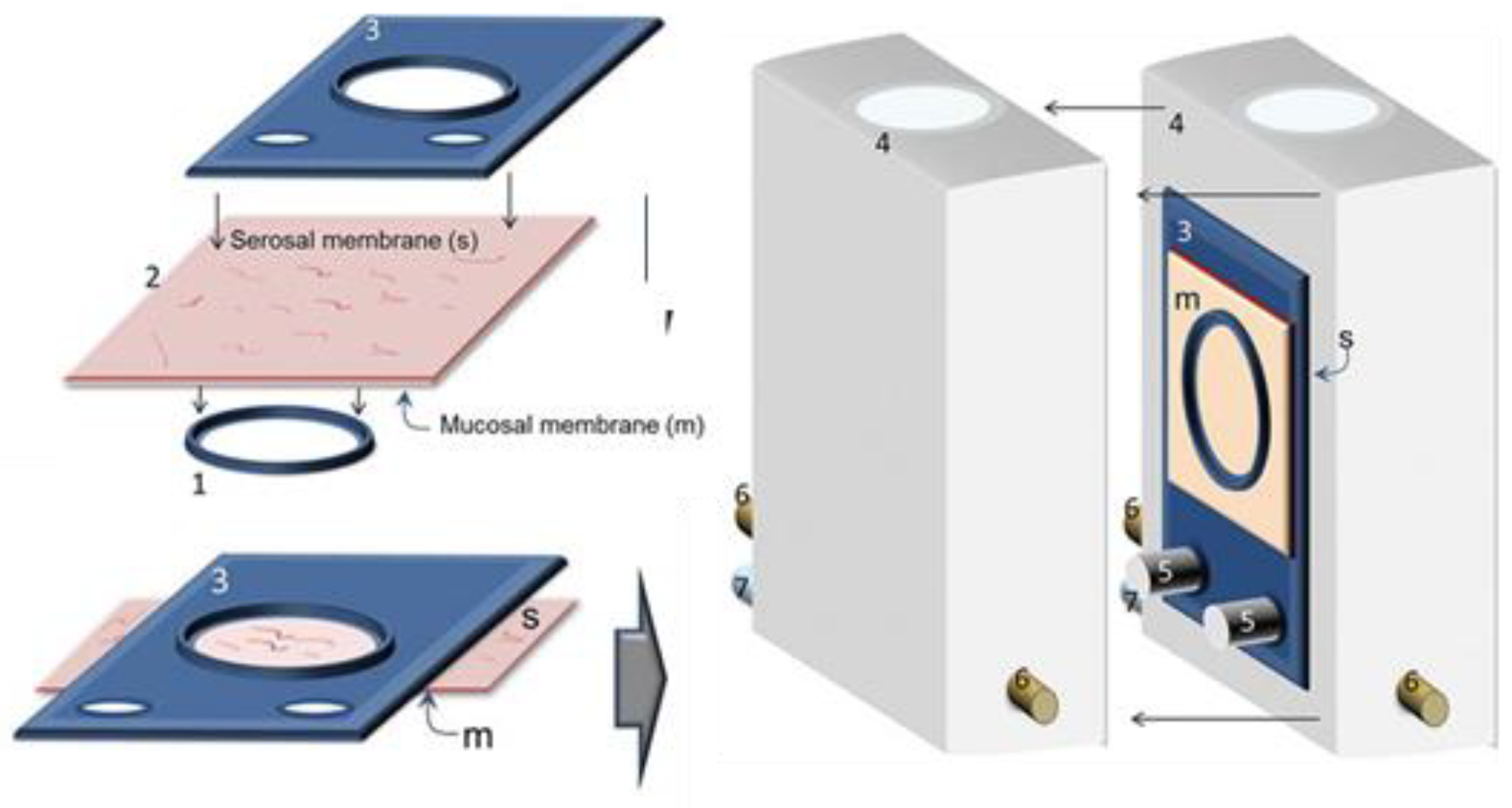 Pharmaceutics 13 00161 g003