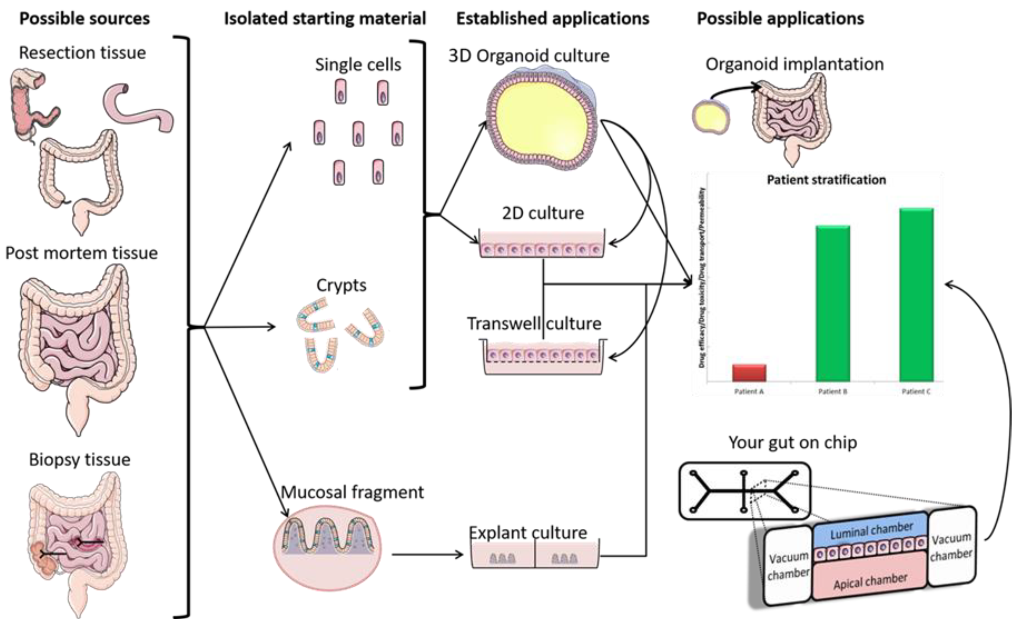 Pharmaceutics 13 00161 g004