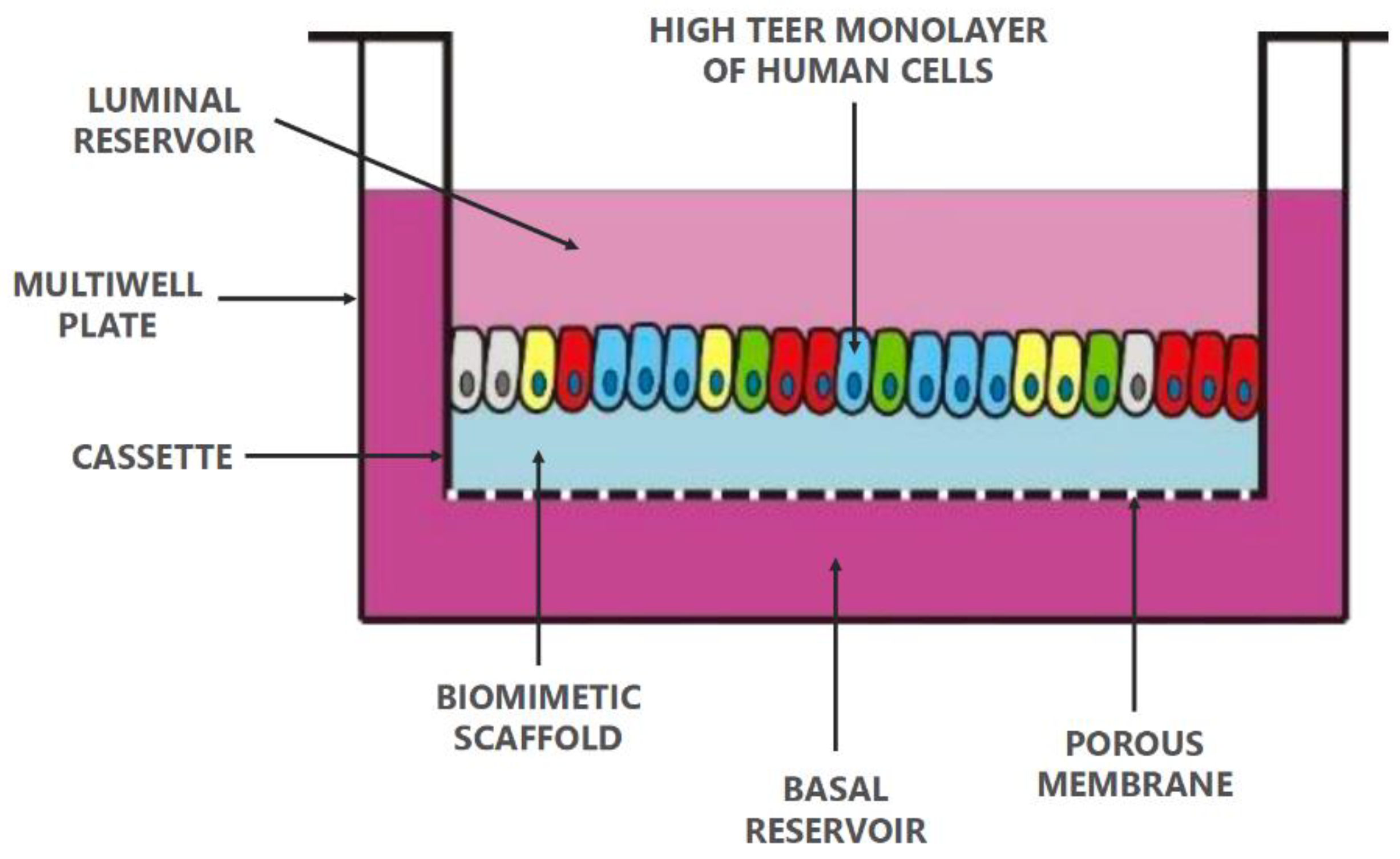 Pharmaceutics 13 00161 g006