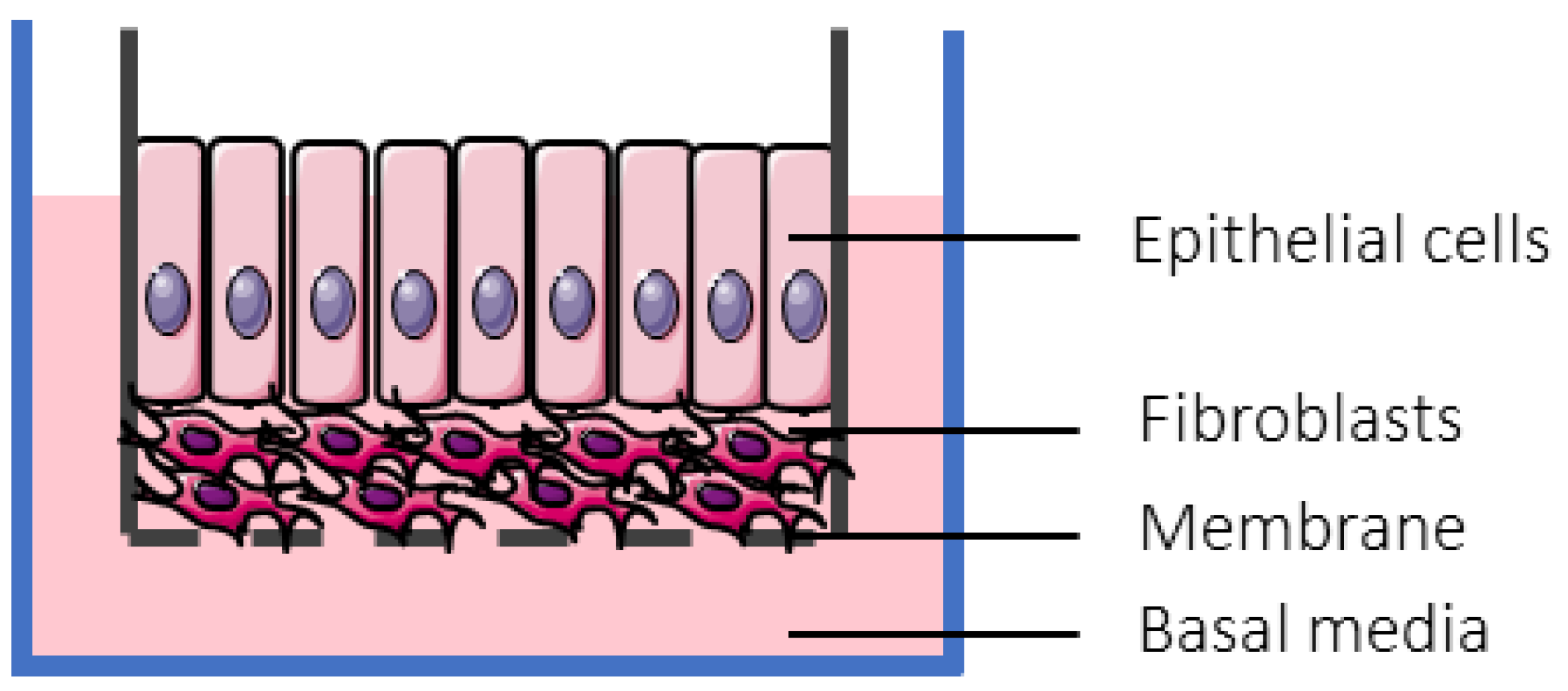 Pharmaceutics 13 00161 g007