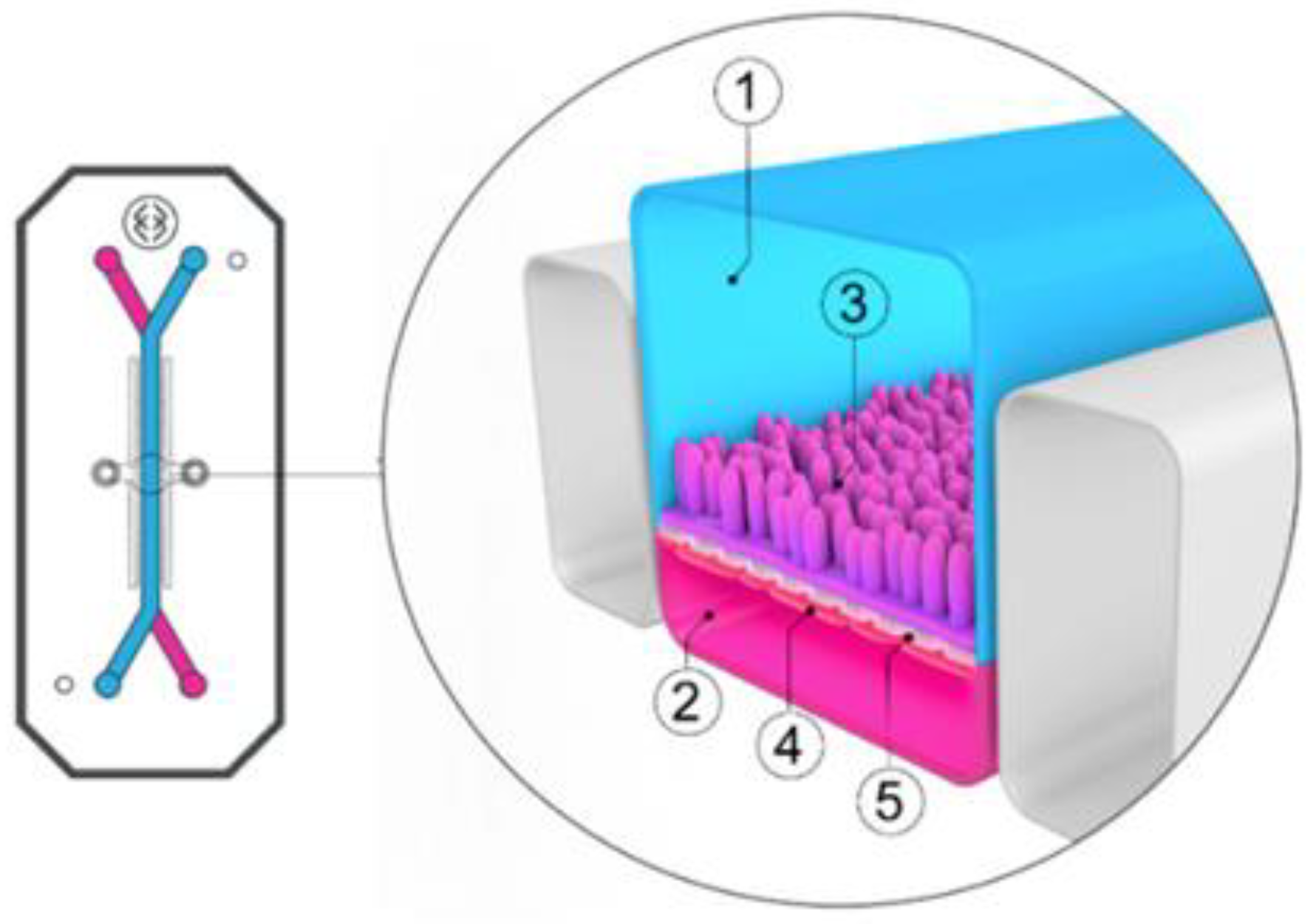 Pharmaceutics 13 00161 g009