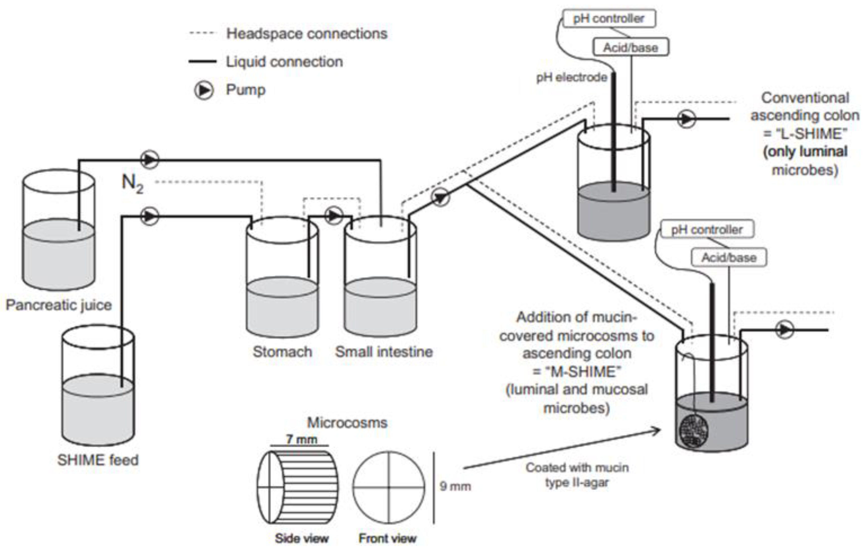 Pharmaceutics 13 00161 g012