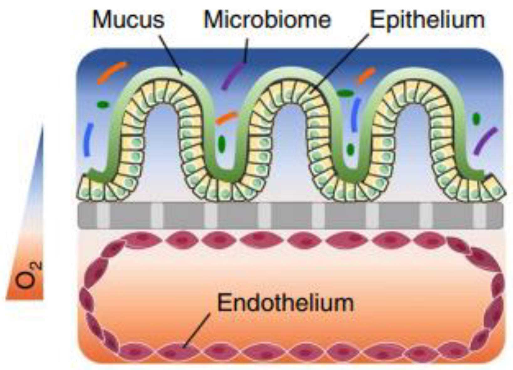 Pharmaceutics 13 00161 g014