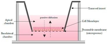 Pharmaceutics 13 00161 i001 Pharmaceutics 13 00161 i001