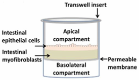 Pharmaceutics 13 00161 i006 Pharmaceutics 13 00161 i006