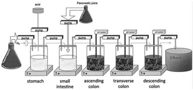 Pharmaceutics 13 00161 i009 Pharmaceutics 13 00161 i009