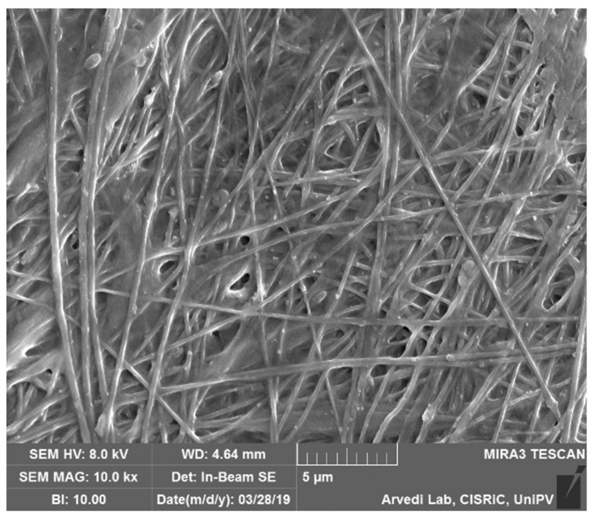 Pharmaceutics 13 00164 g002