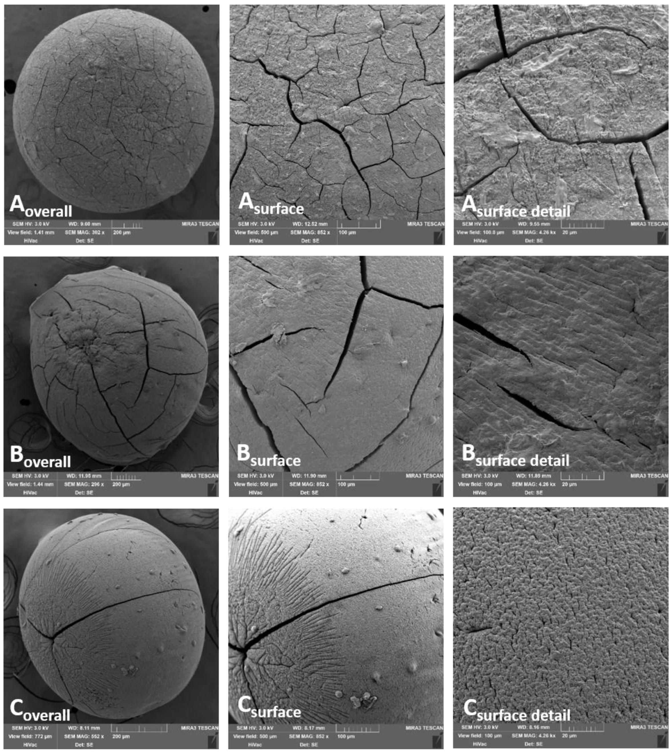 Pharmaceutics 13 00165 g001