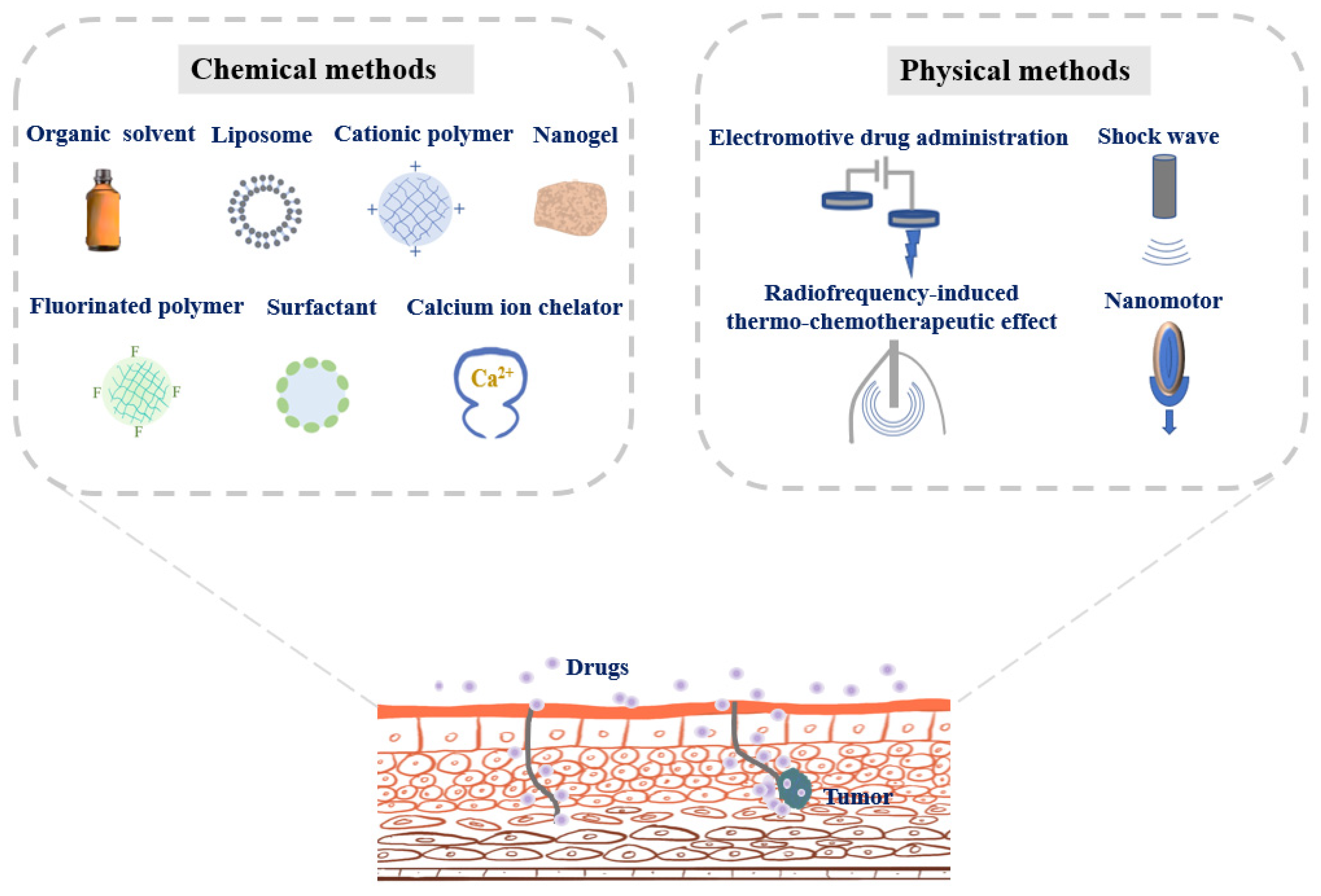 Pharmaceutics 13 00166 g002