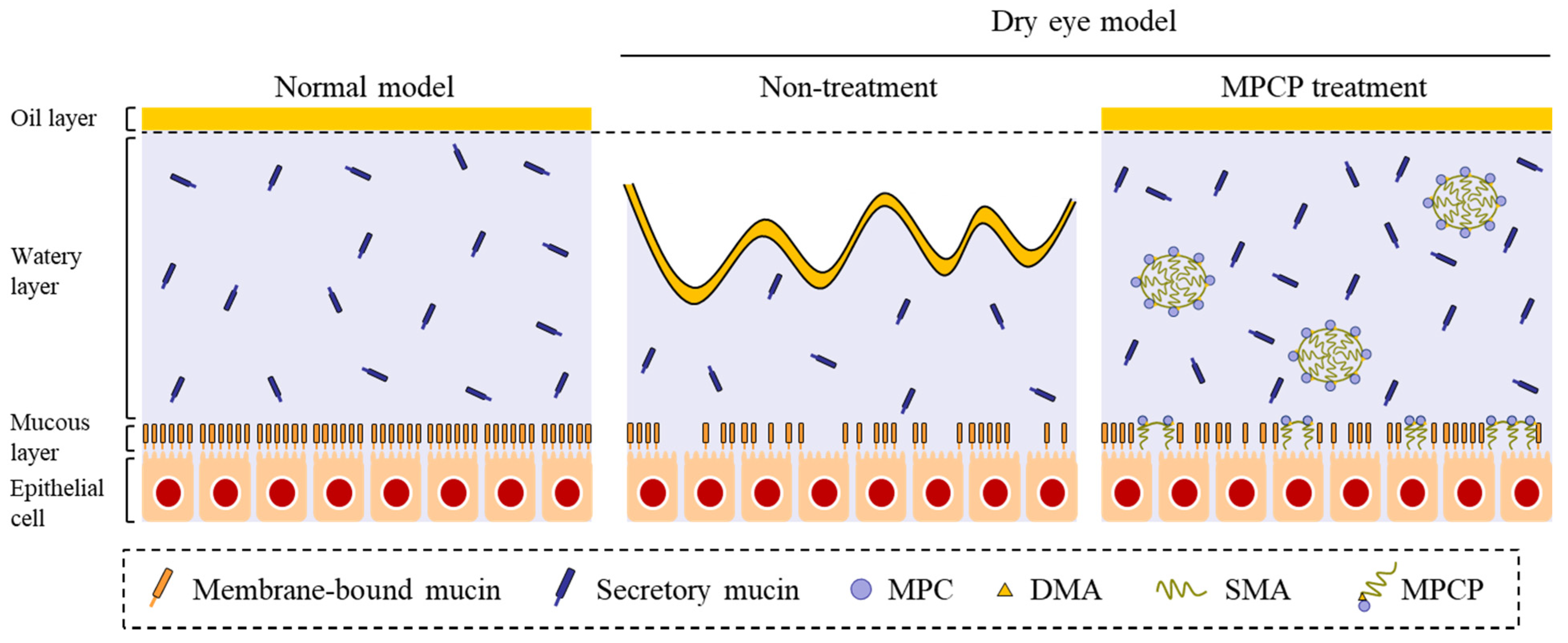 Pharmaceutics 13 00168 g007