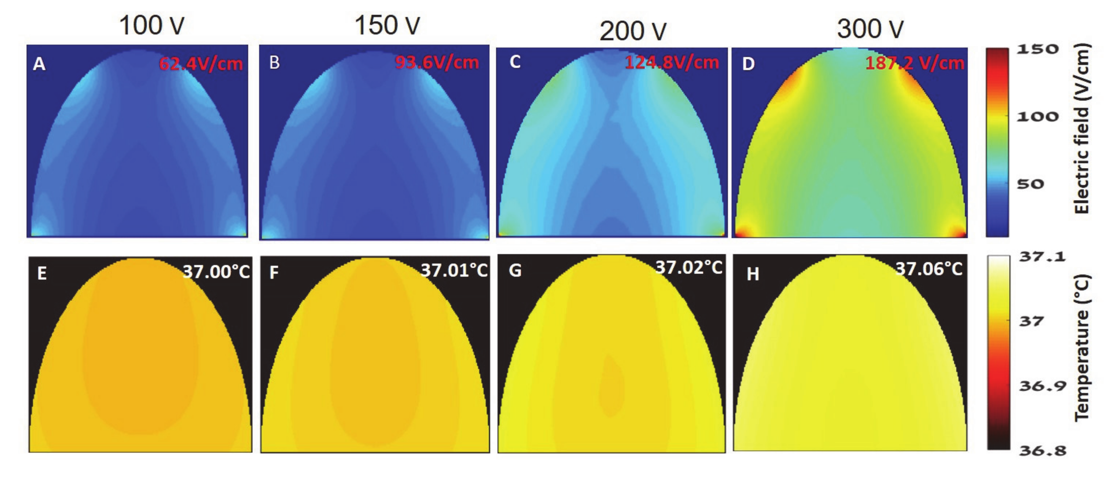 Pharmaceutics 13 00169 g008