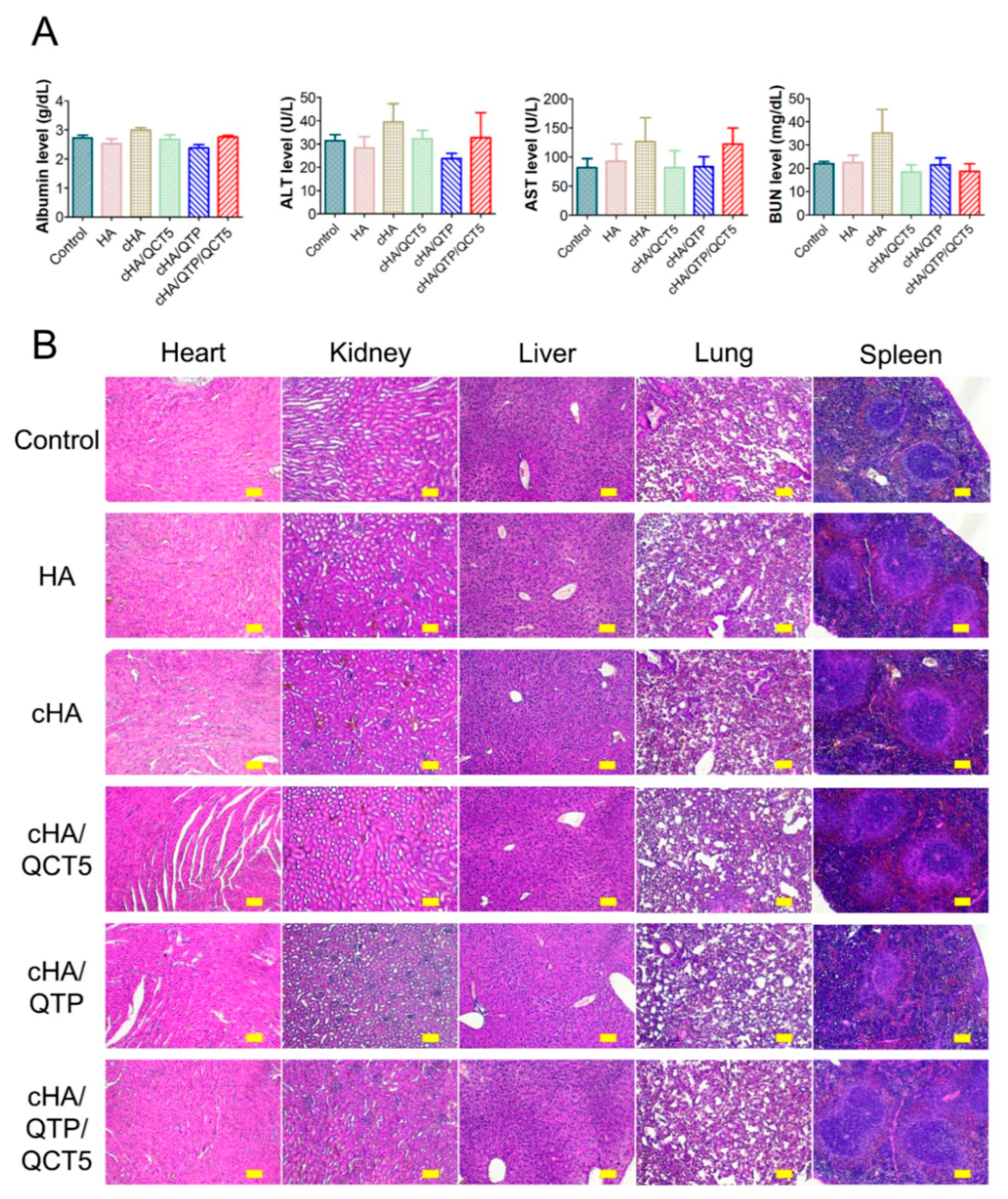 Pharmaceutics 13 00170 g005 Pharmaceutics 13 00170 g005