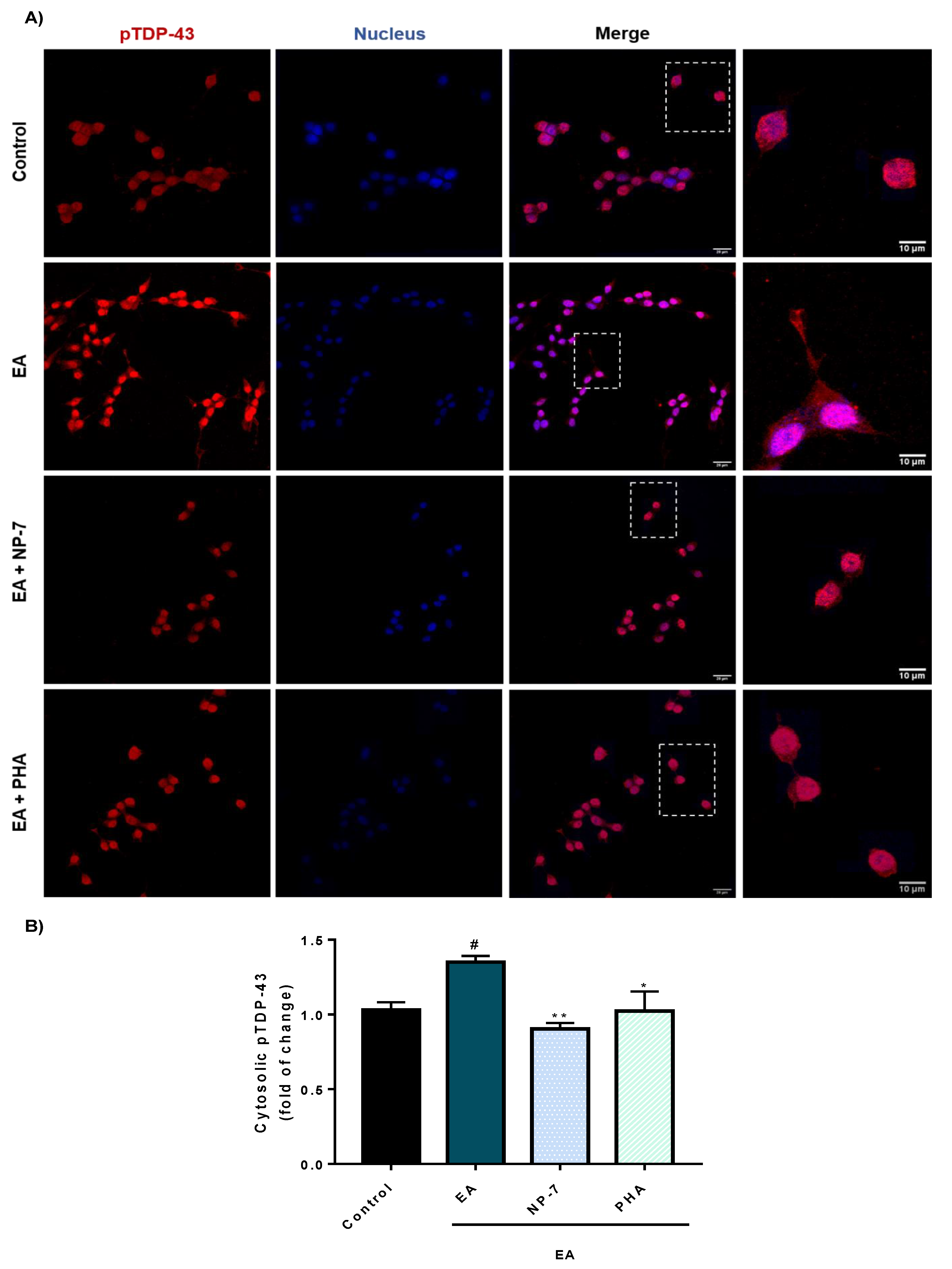Pharmaceutics 13 00180 g007