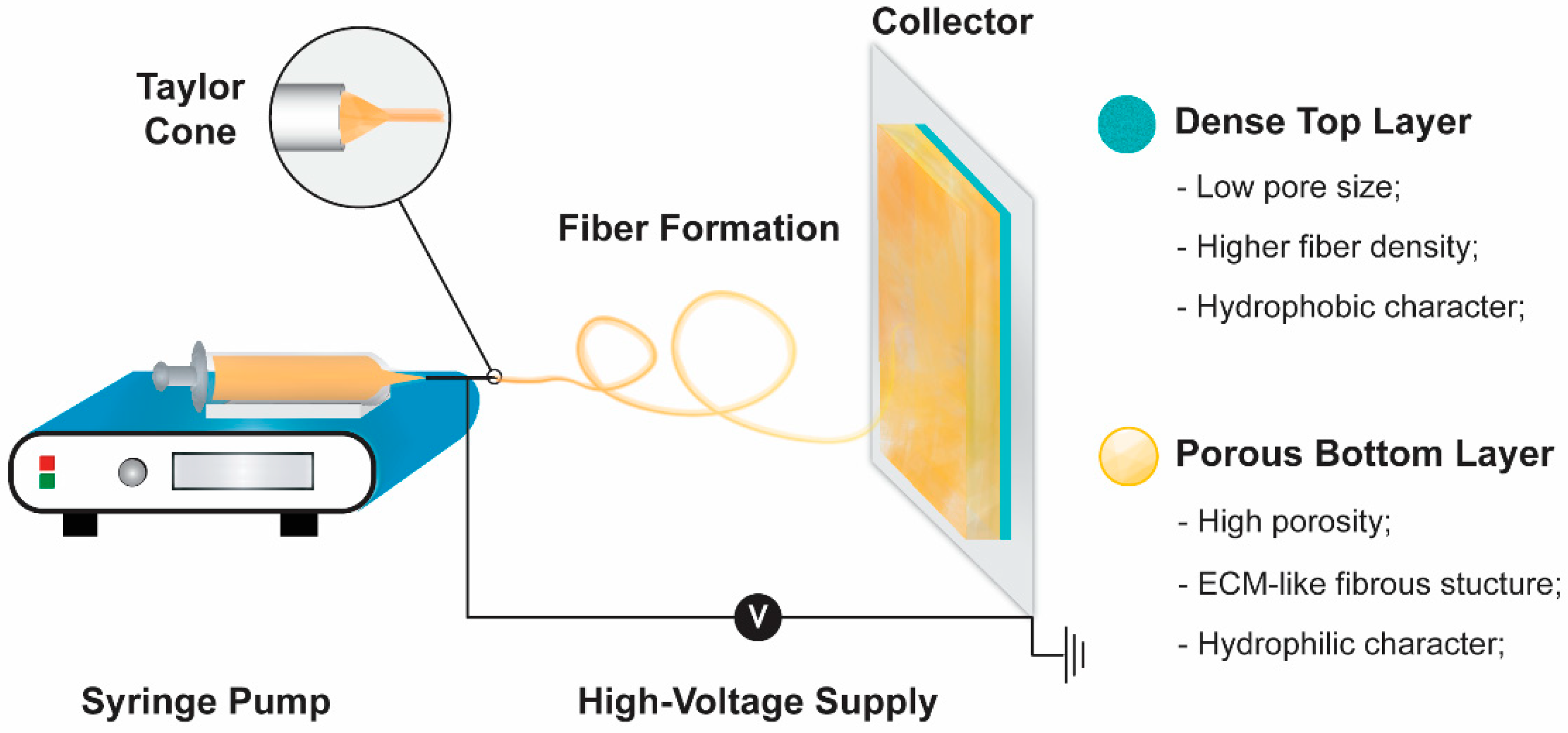 Pharmaceutics 13 00183 g002