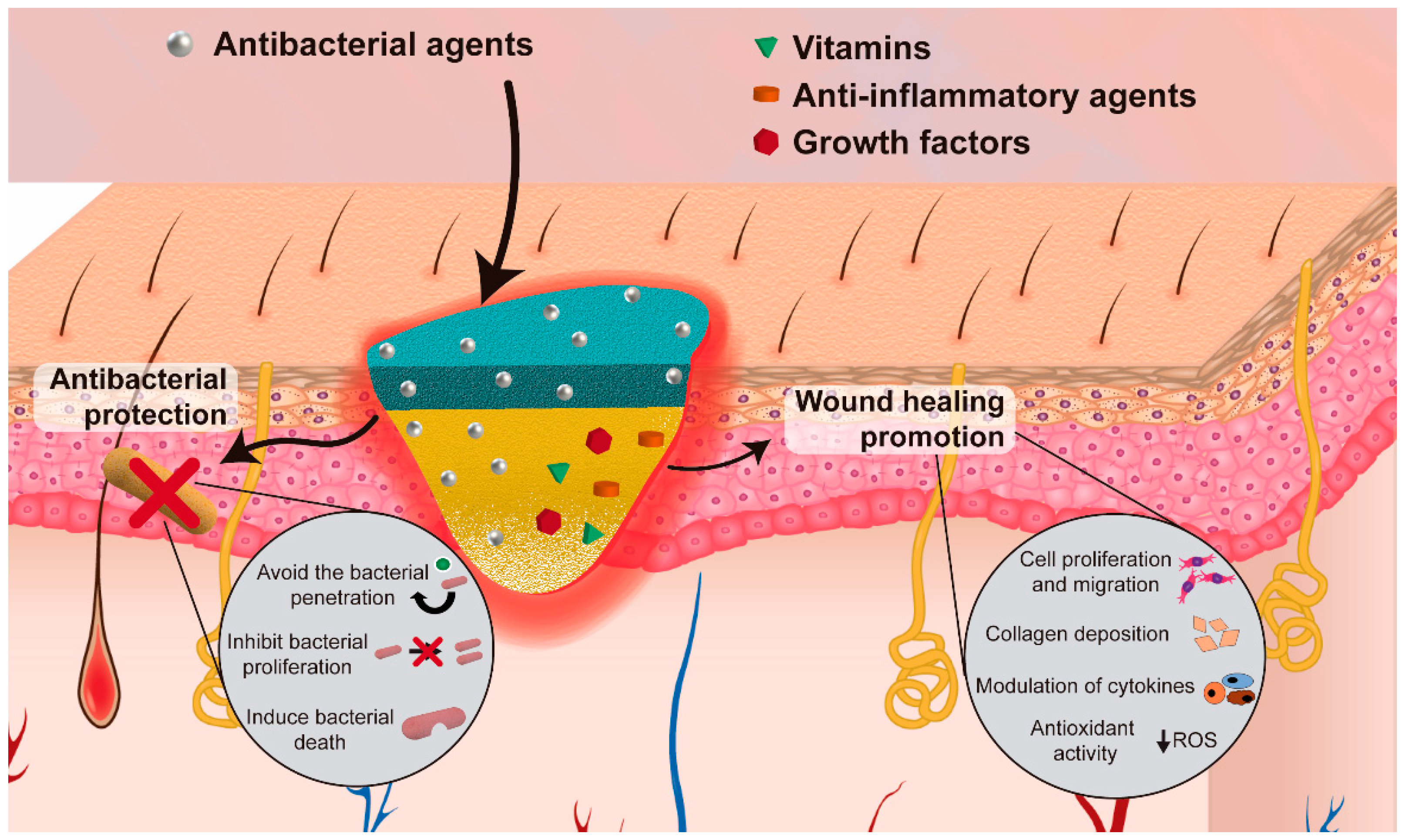 Pharmaceutics 13 00183 g004