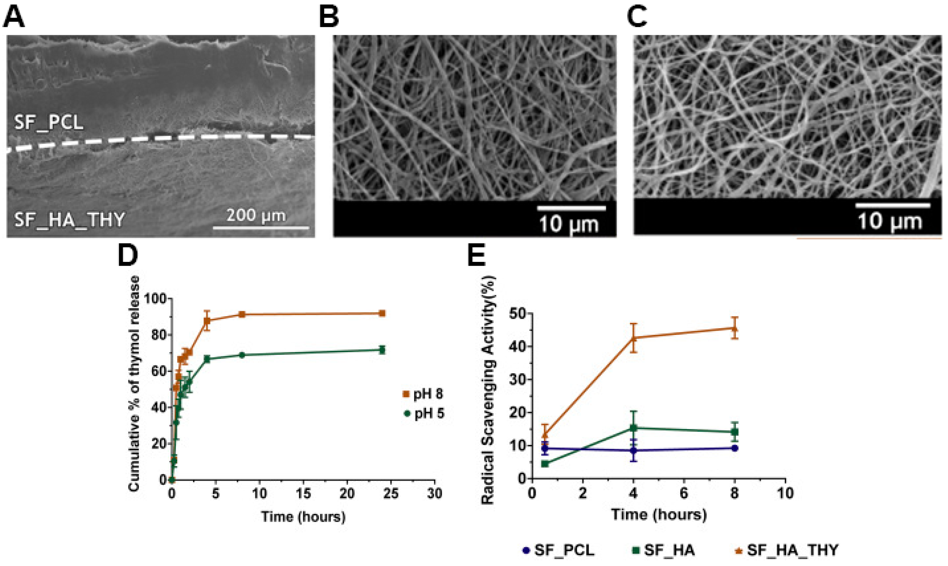 Pharmaceutics 13 00183 g005