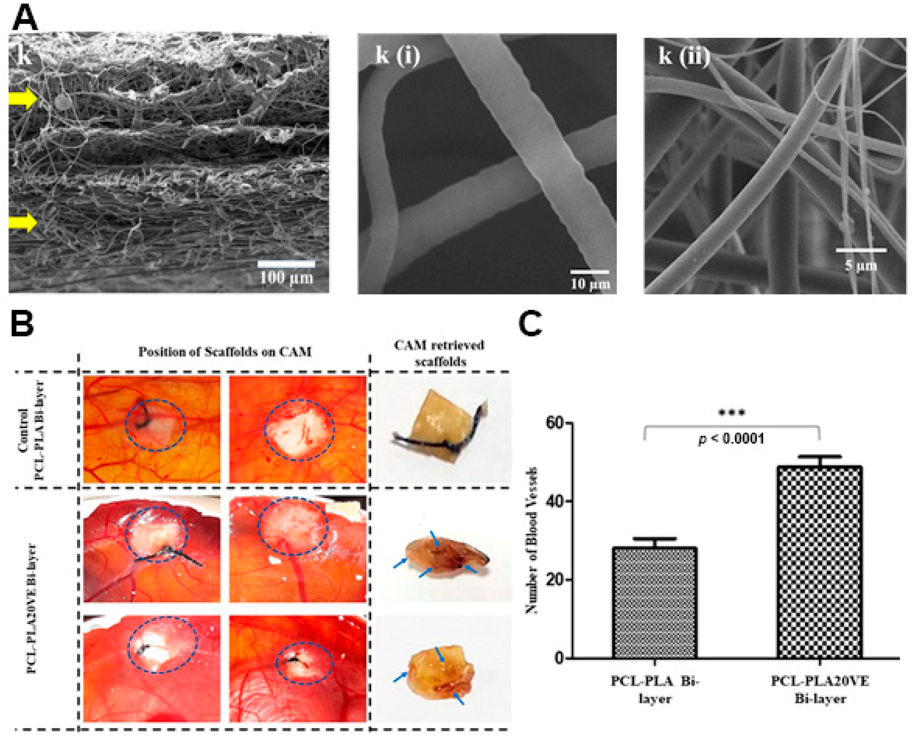 Pharmaceutics 13 00183 g006