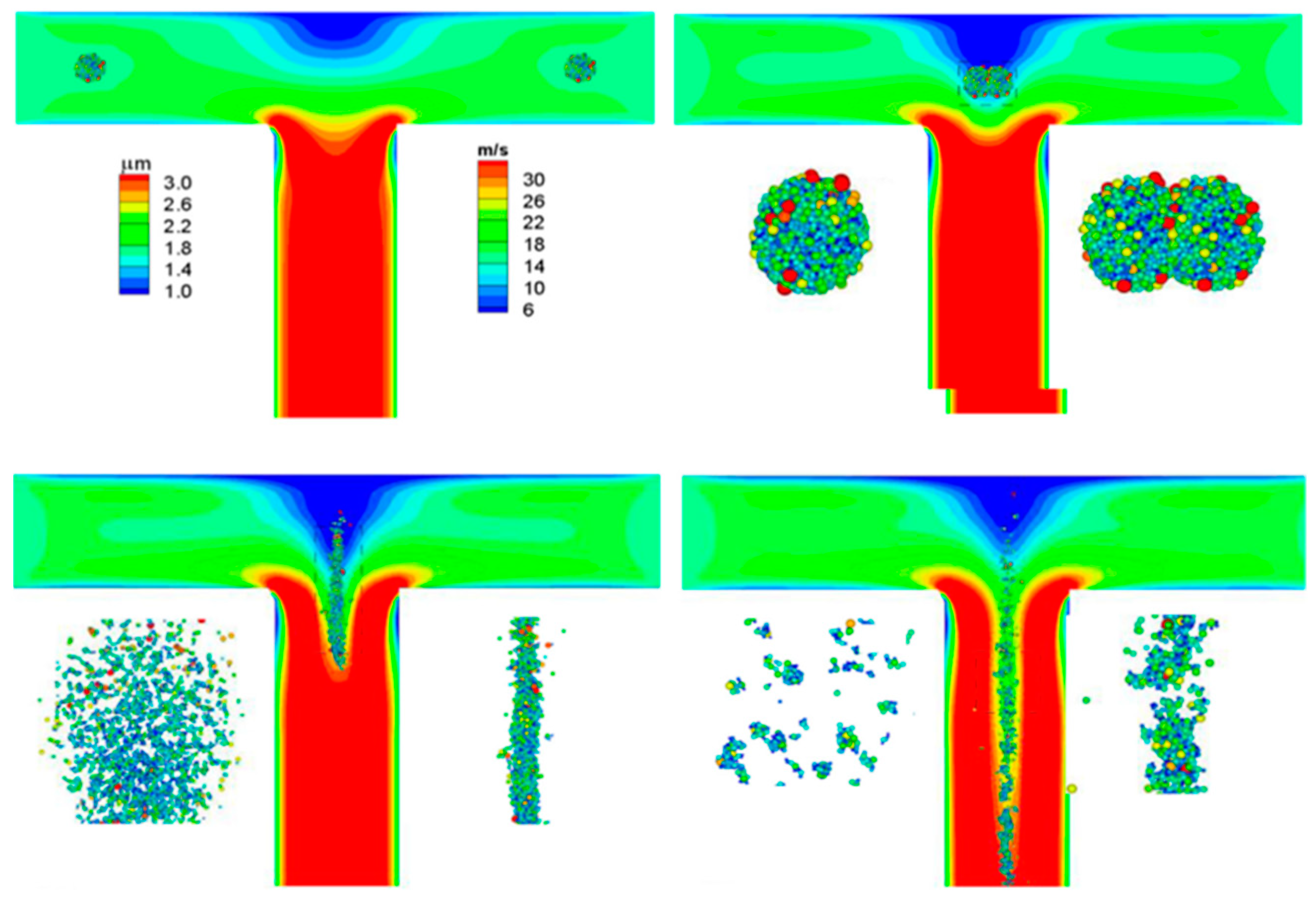 Pharmaceutics 13 00189 g004