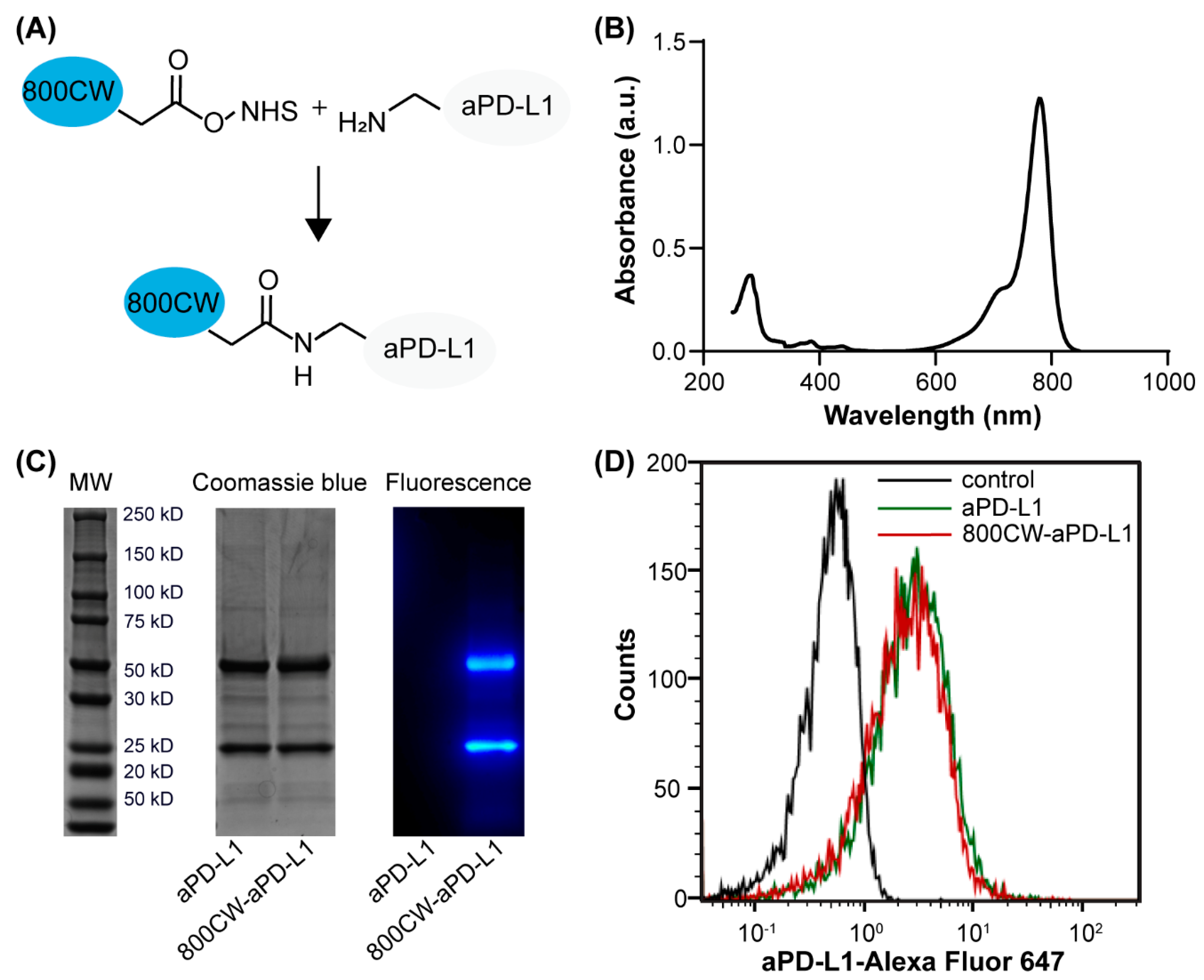 Pharmaceutics 13 00190 g001