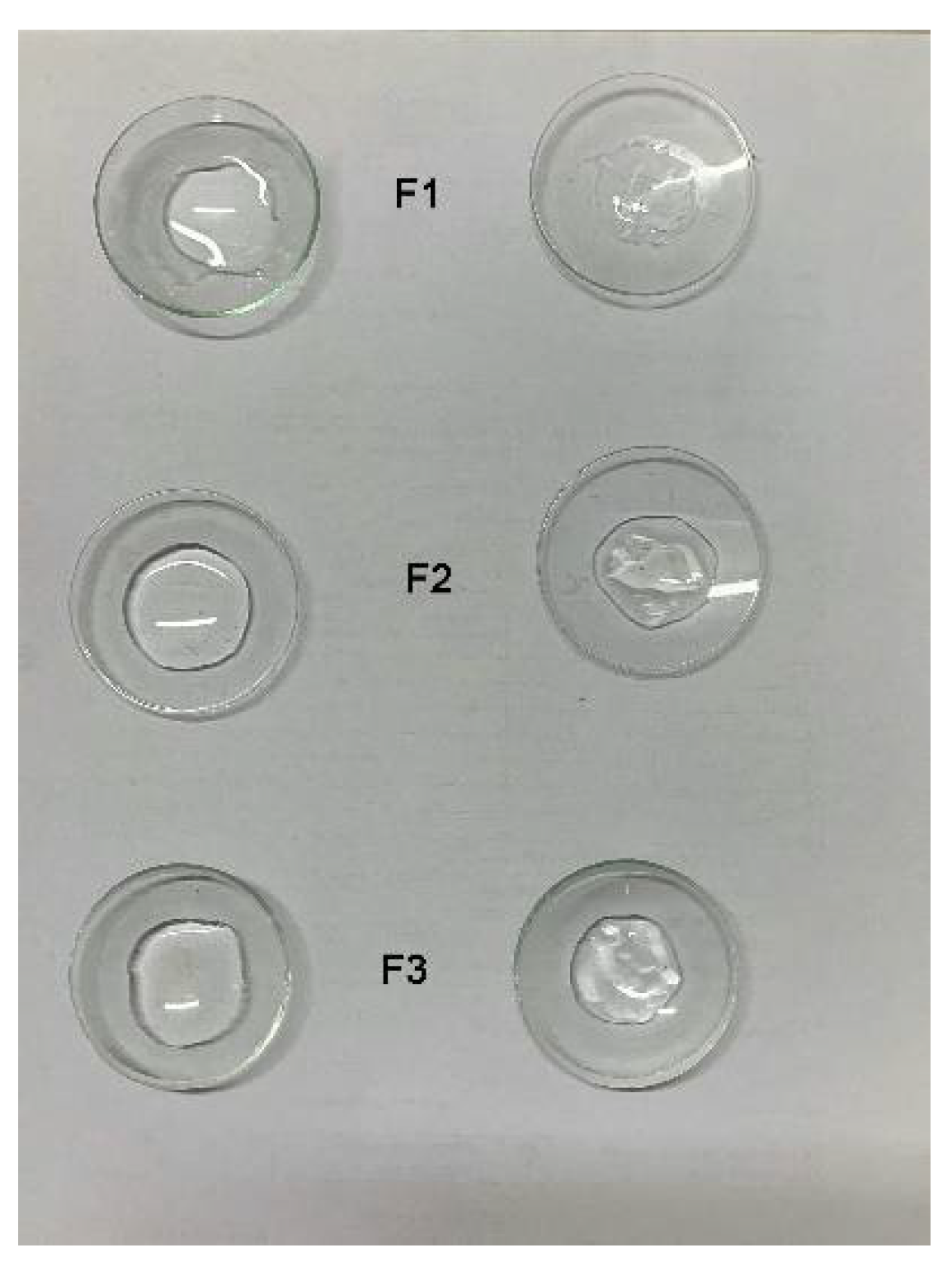 Pharmaceutics 13 00192 g003