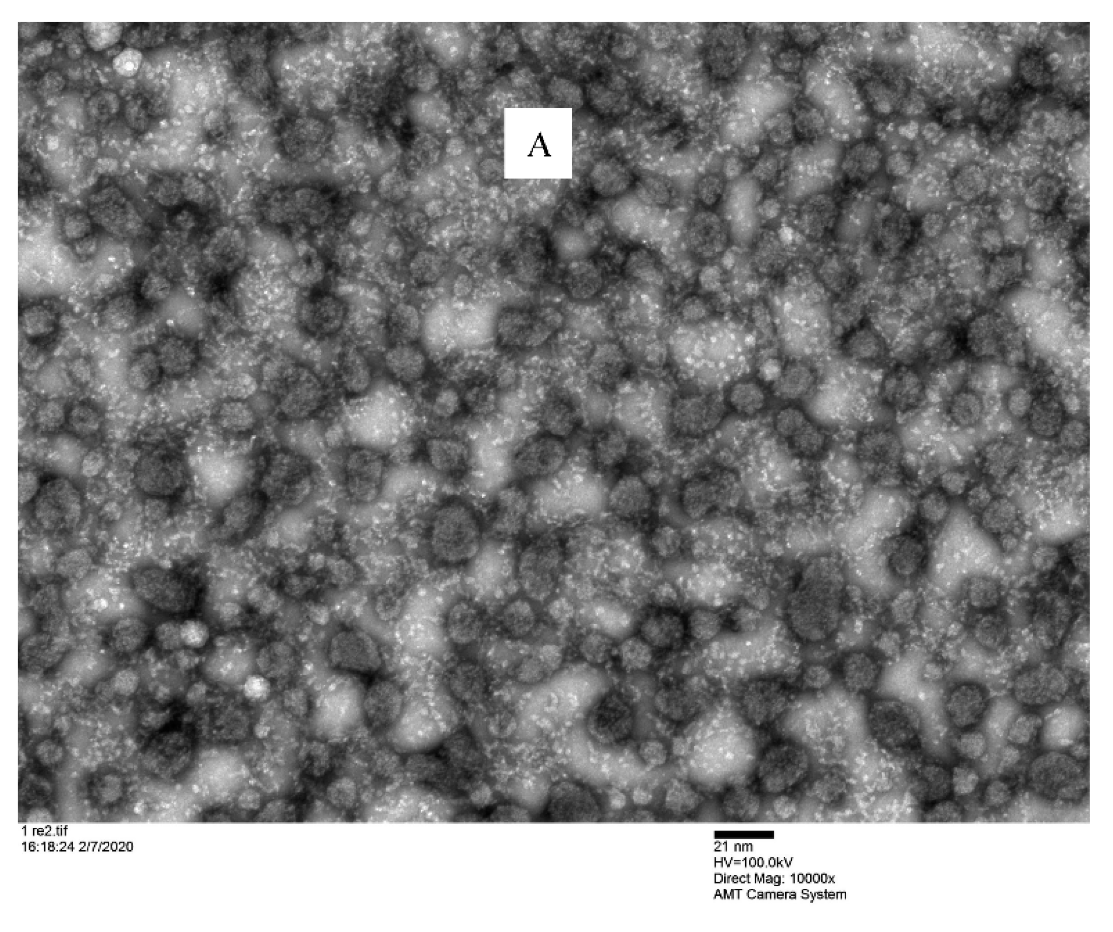 Pharmaceutics 13 00192 g006a
