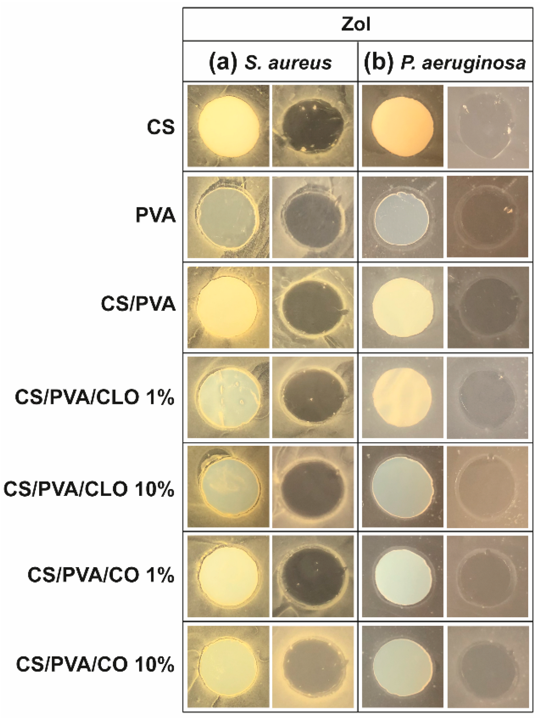 Pharmaceutics 13 00195 g008