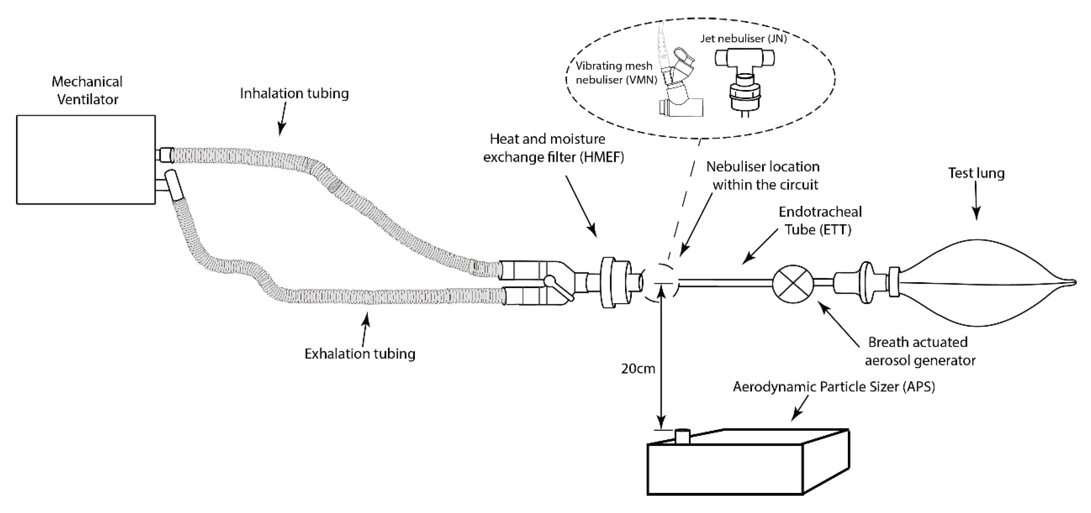 Pharmaceutics 13 00199 g001 Pharmaceutics 13 00199 g001