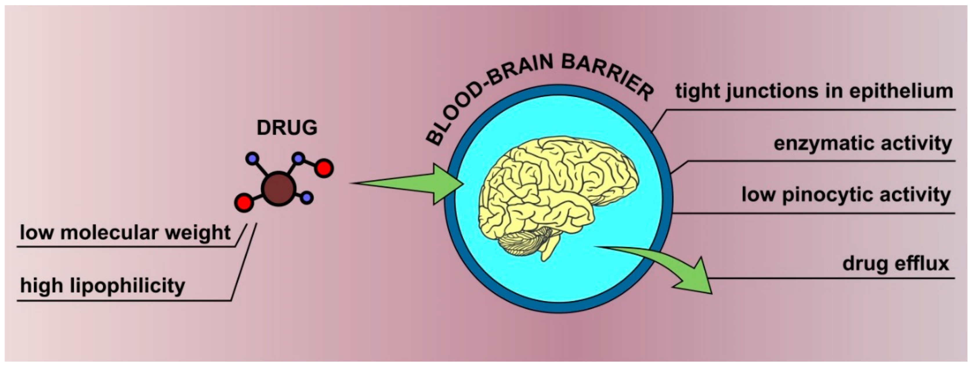 Pharmaceutics 13 00201 g001