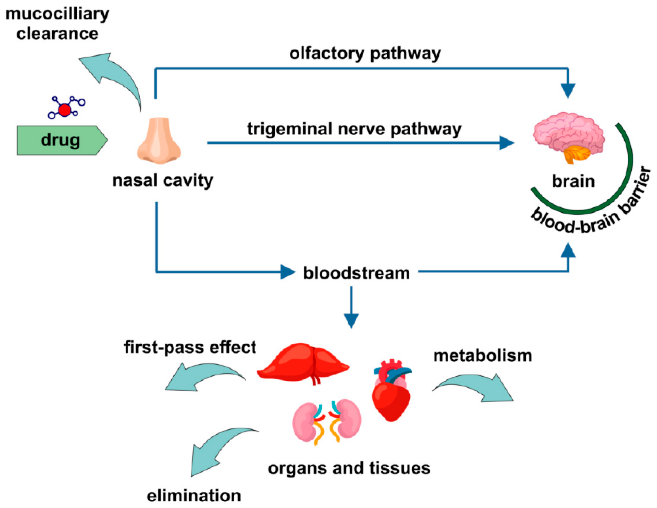 Pharmaceutics 13 00201 g002