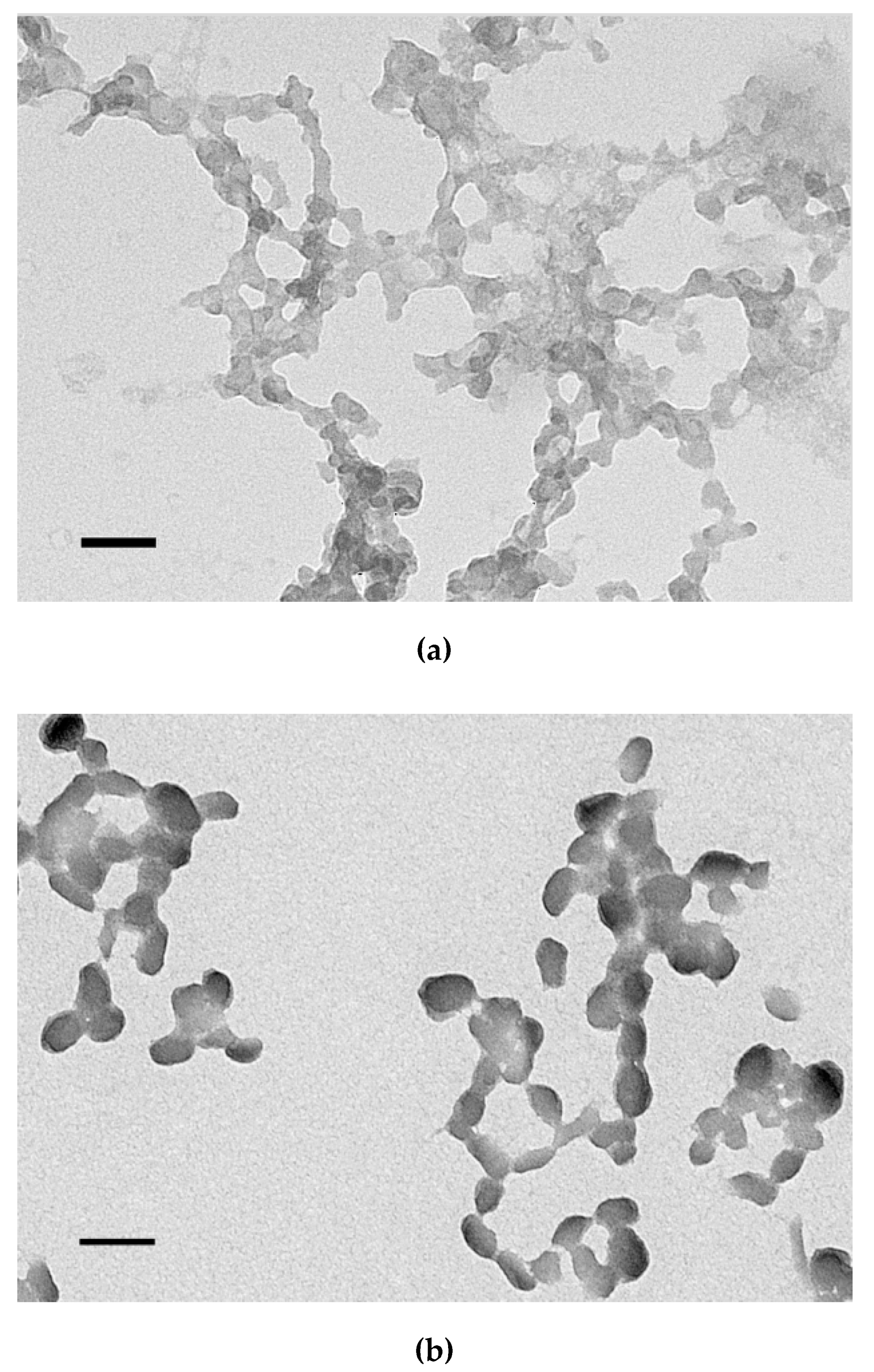 Pharmaceutics 13 00202 g005a