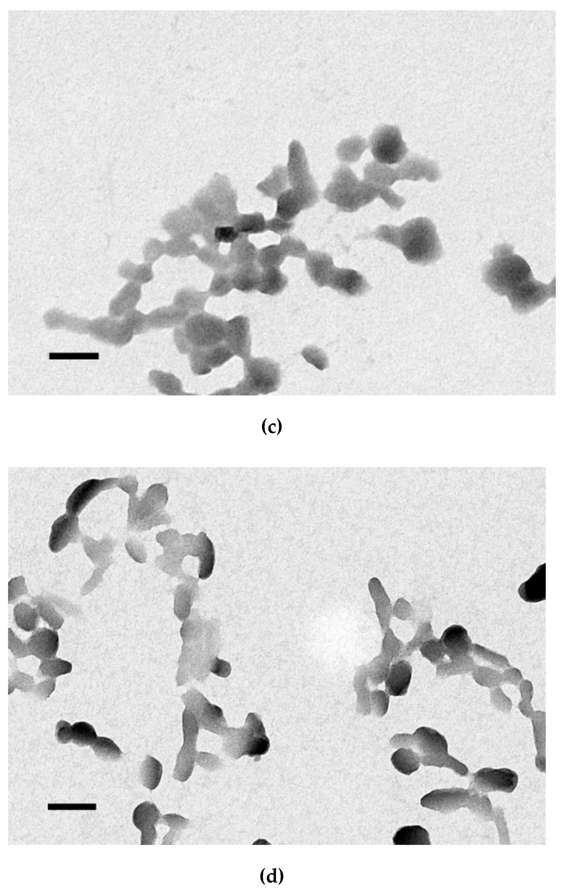 Pharmaceutics 13 00202 g005b