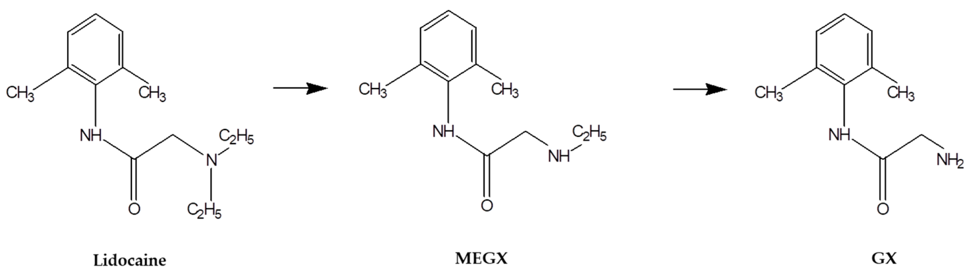 Pharmaceutics 13 00203 g001