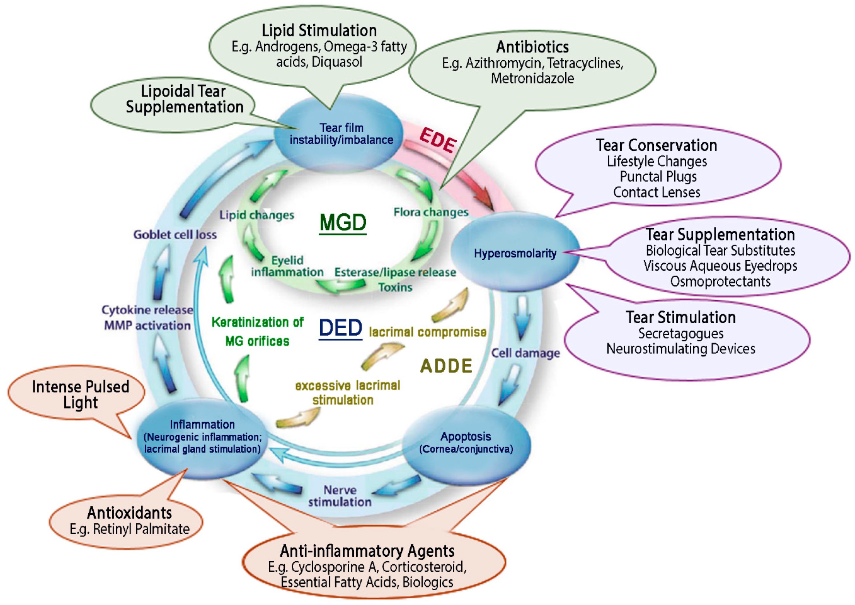 Pharmaceutics 13 00207 g002 Pharmaceutics 13 00207 g002