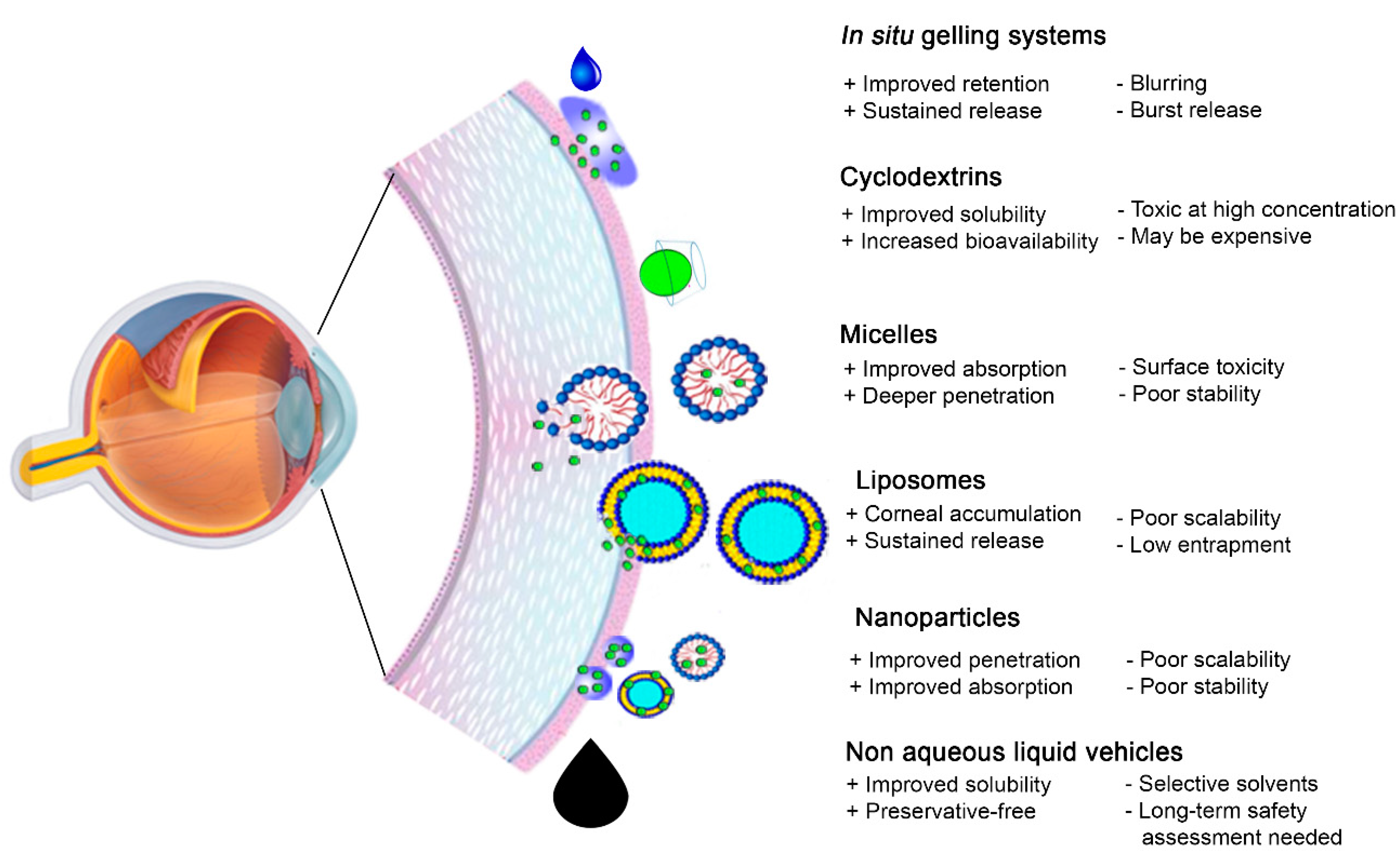 Pharmaceutics 13 00207 g004 Pharmaceutics 13 00207 g004