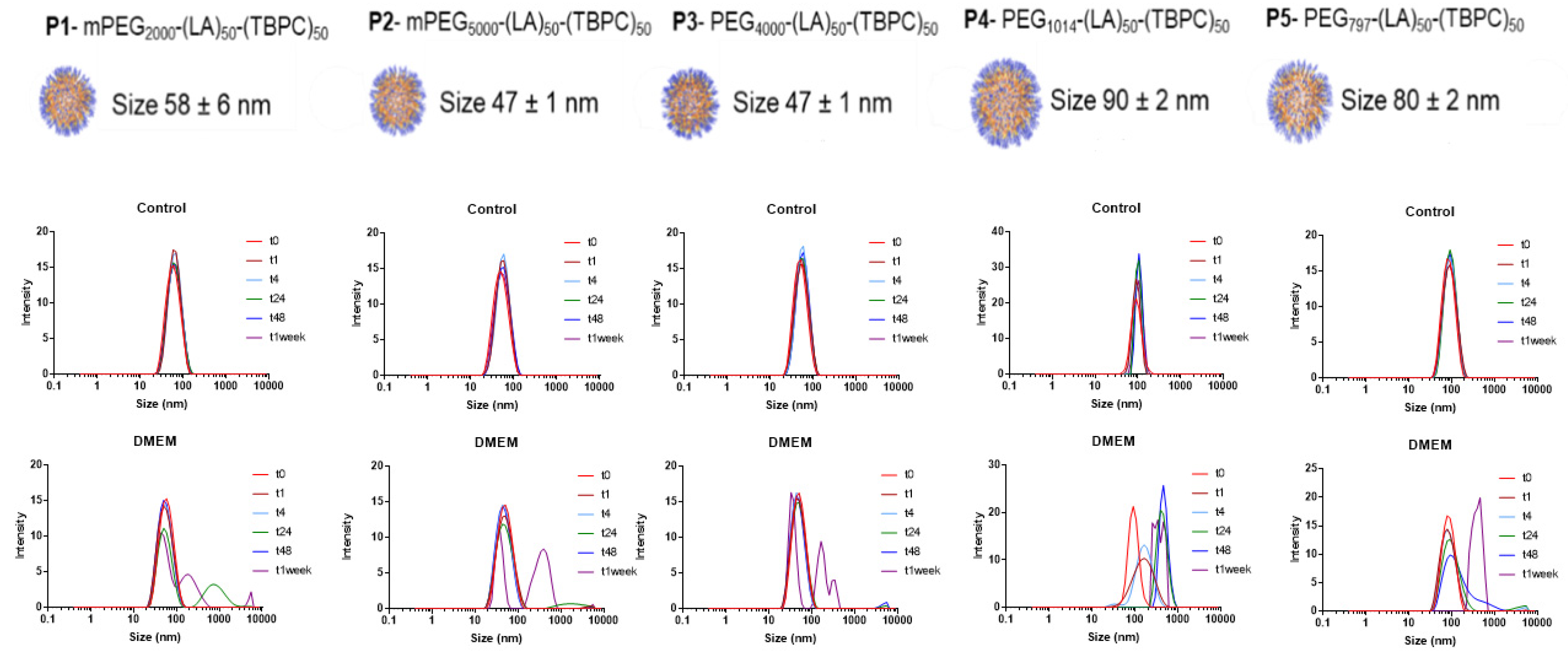 Pharmaceutics 13 00208 g001