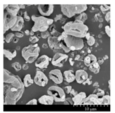 Pharmaceutics 13 00211 i007 Pharmaceutics 13 00211 i007