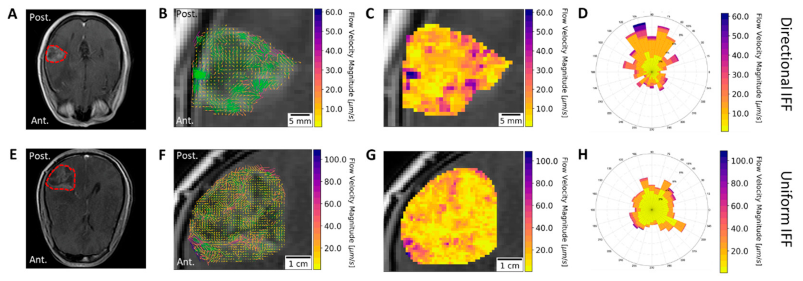 Pharmaceutics 13 00212 g005 Pharmaceutics 13 00212 g005