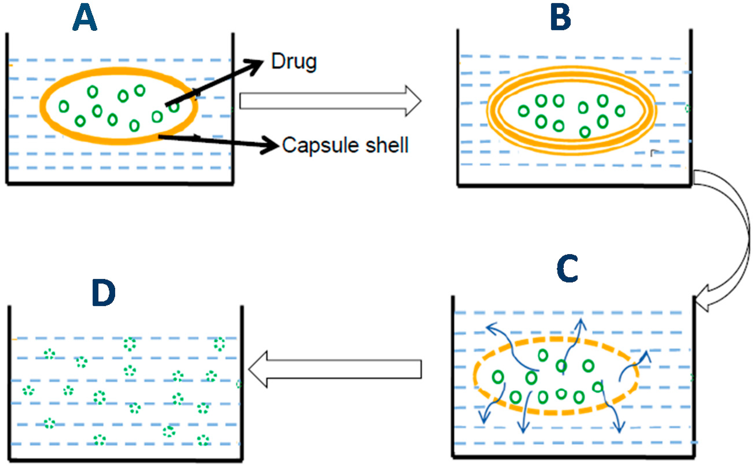 Pharmaceutics 13 00214 g006