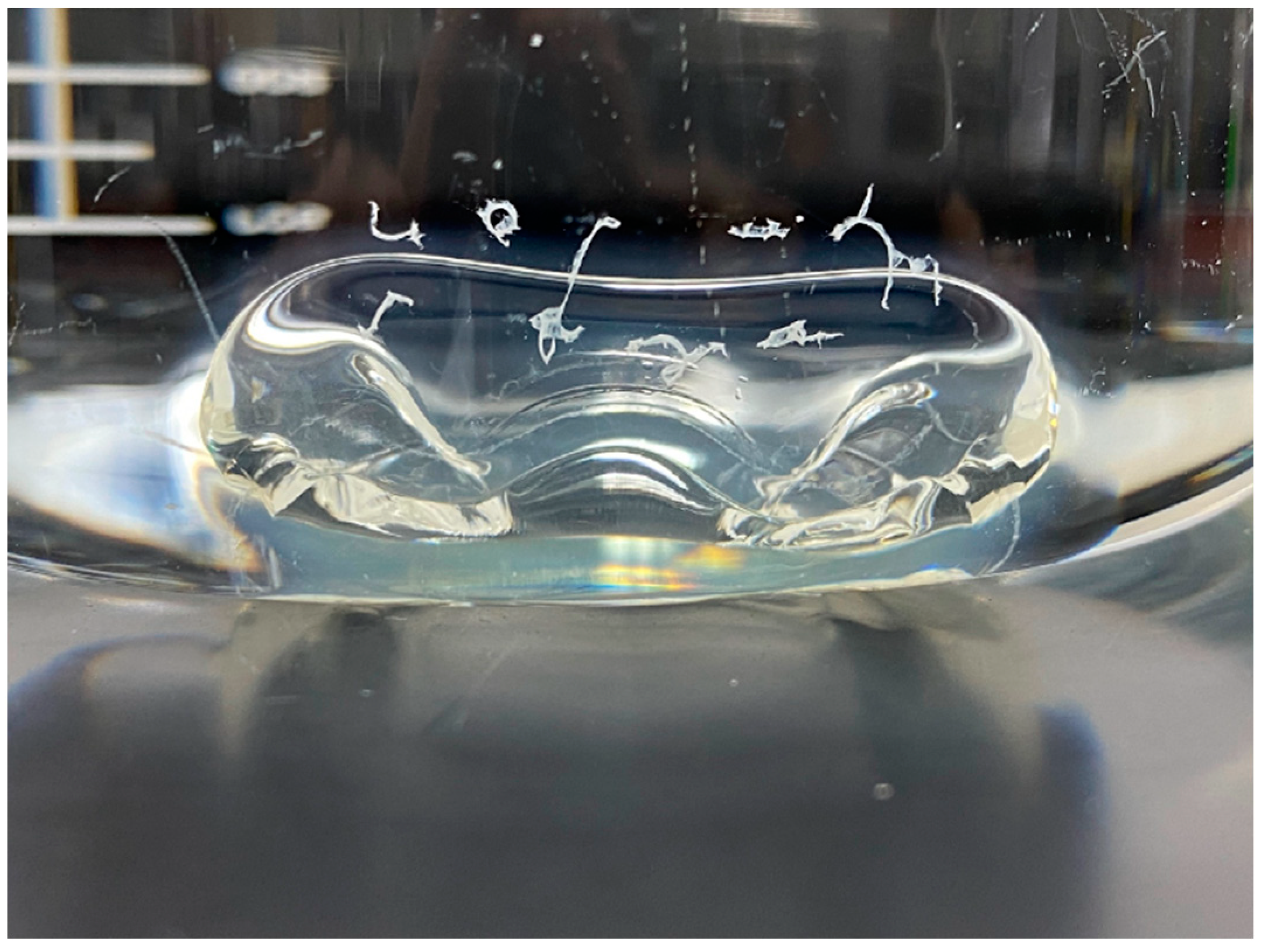 Pharmaceutics 13 00214 g010