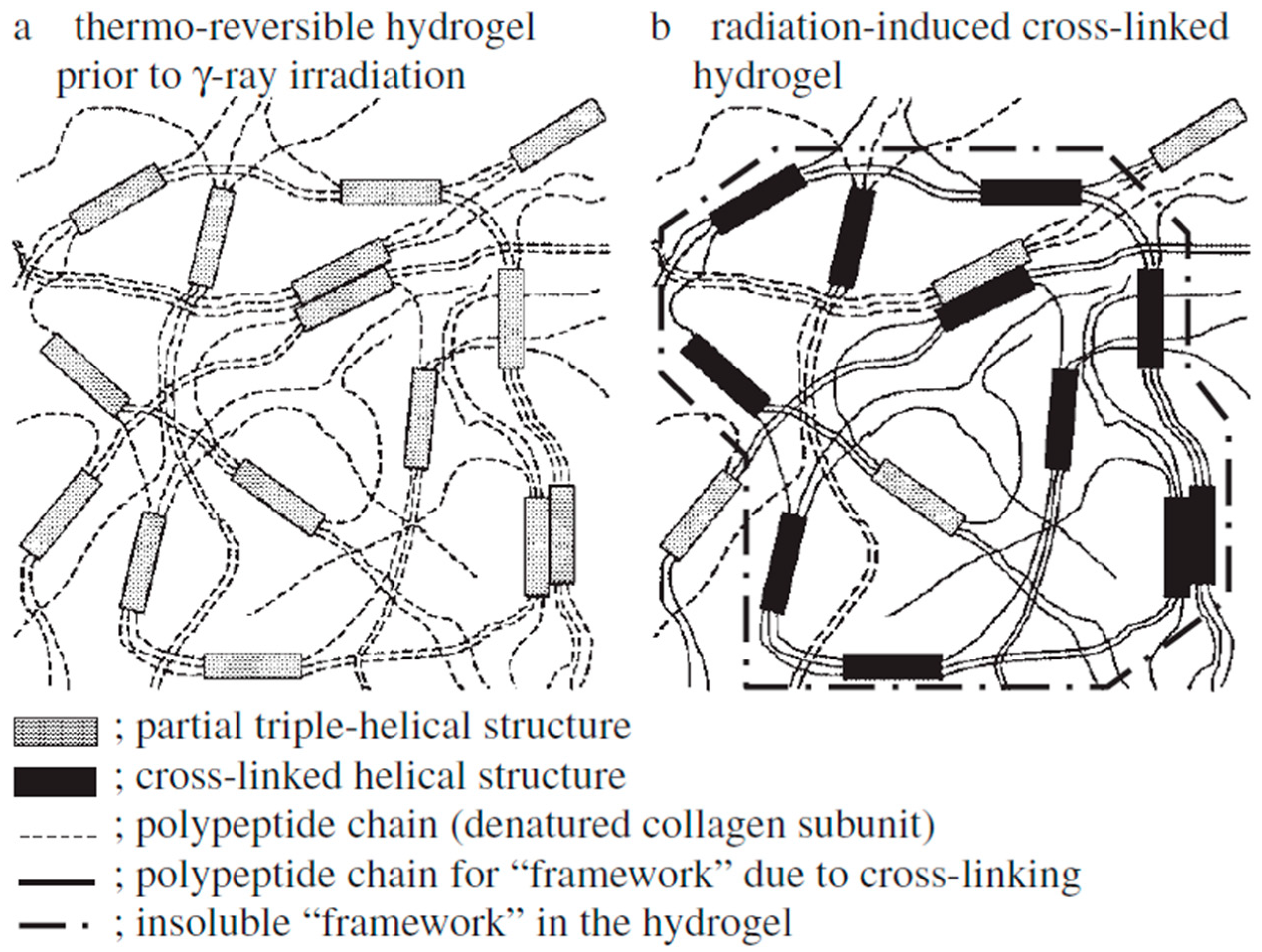 Pharmaceutics 13 00214 g011