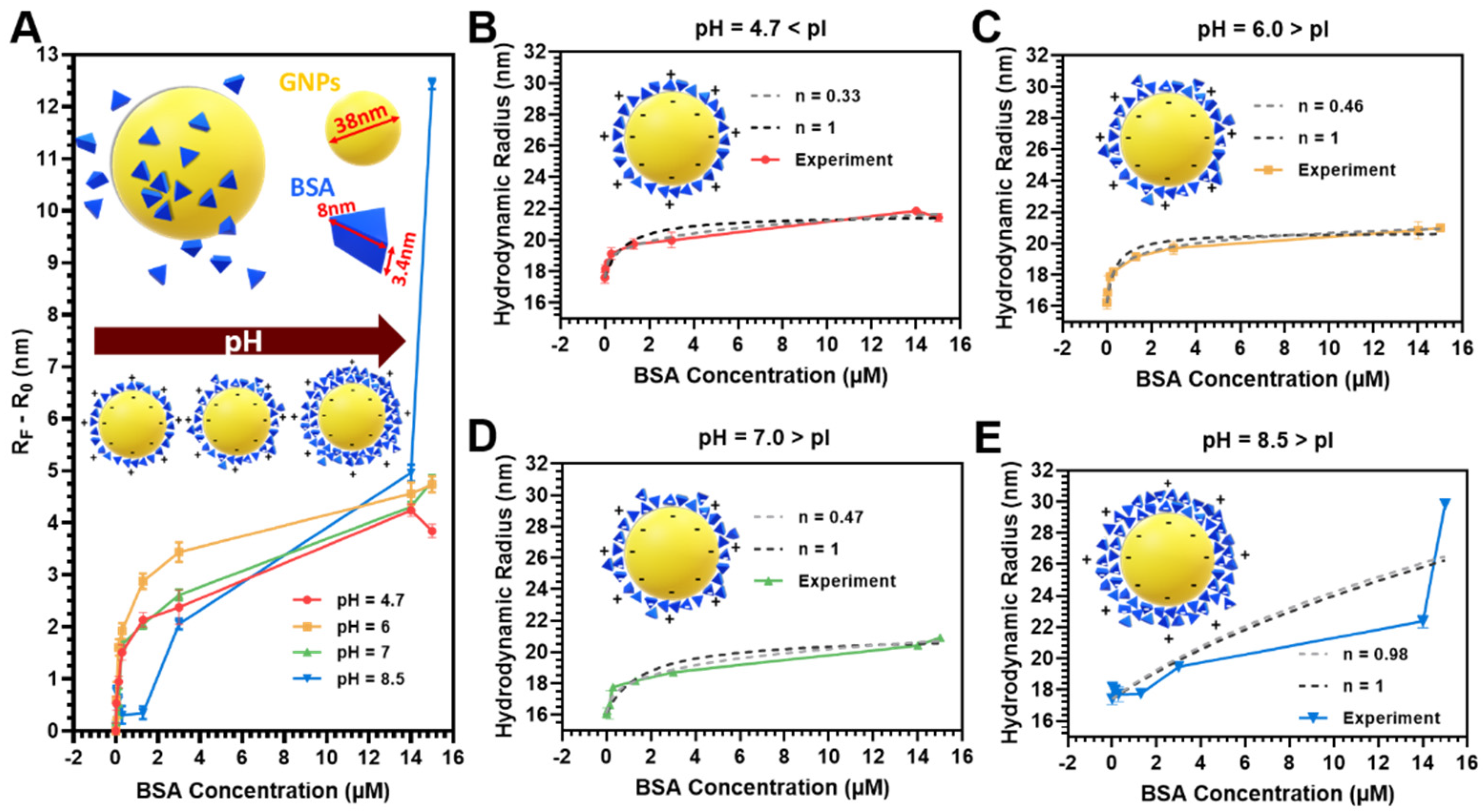 Pharmaceutics 13 00216 g002 Pharmaceutics 13 00216 g002