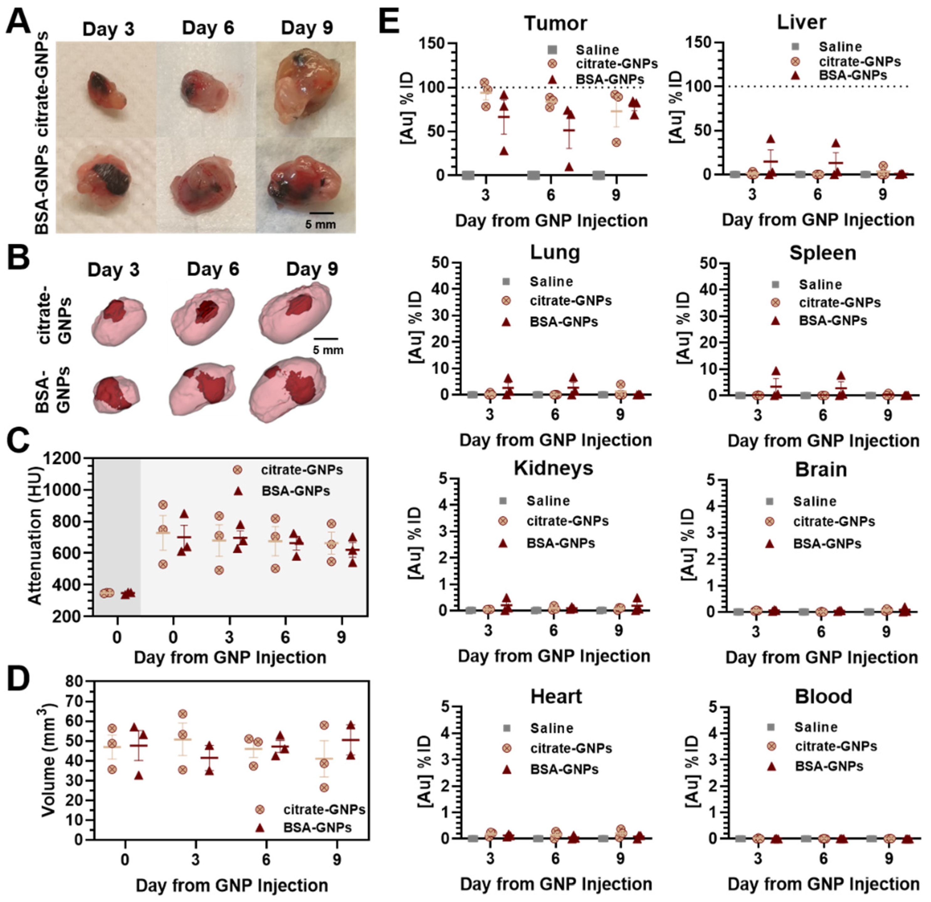Pharmaceutics 13 00216 g006 Pharmaceutics 13 00216 g006
