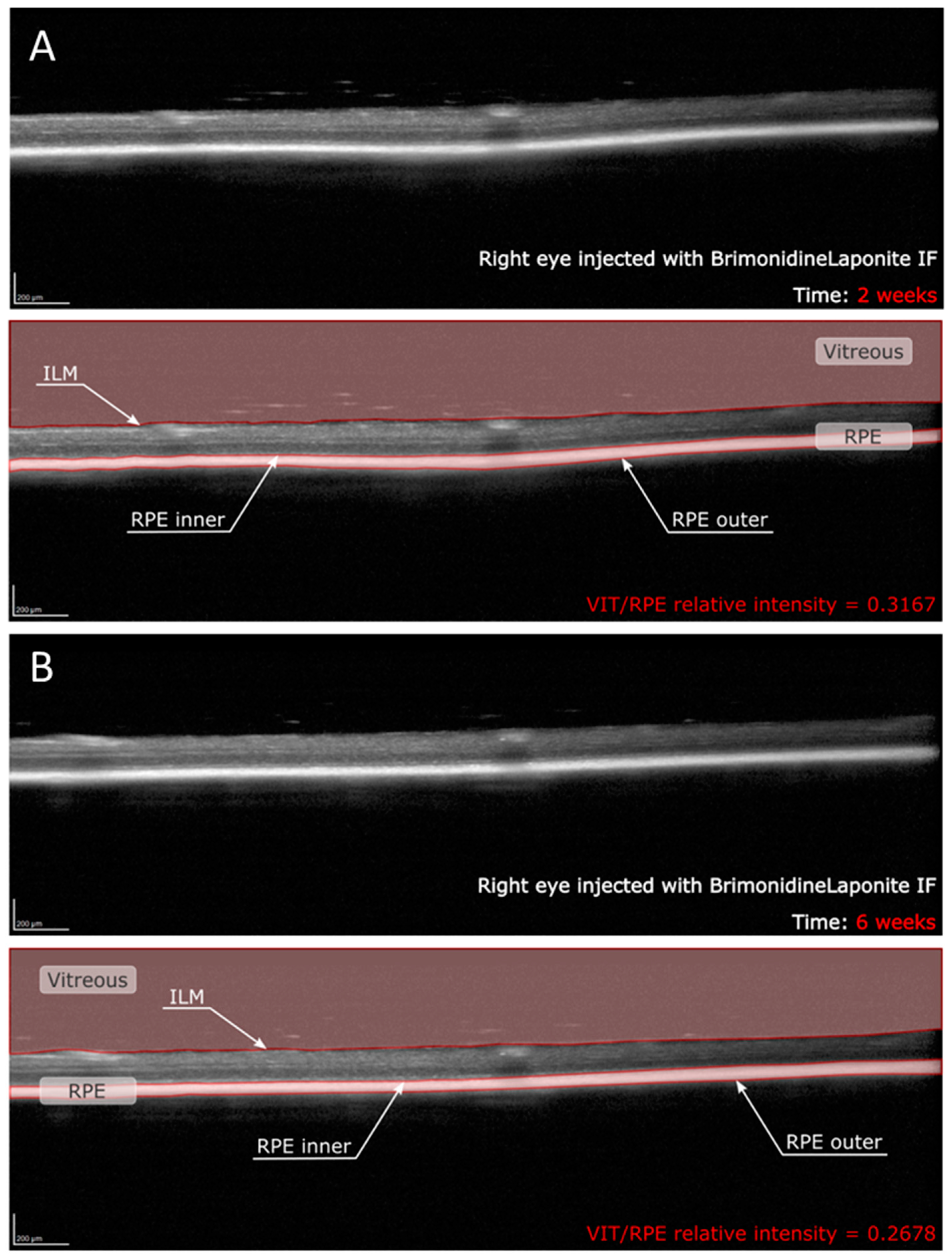 Pharmaceutics 13 00217 g001