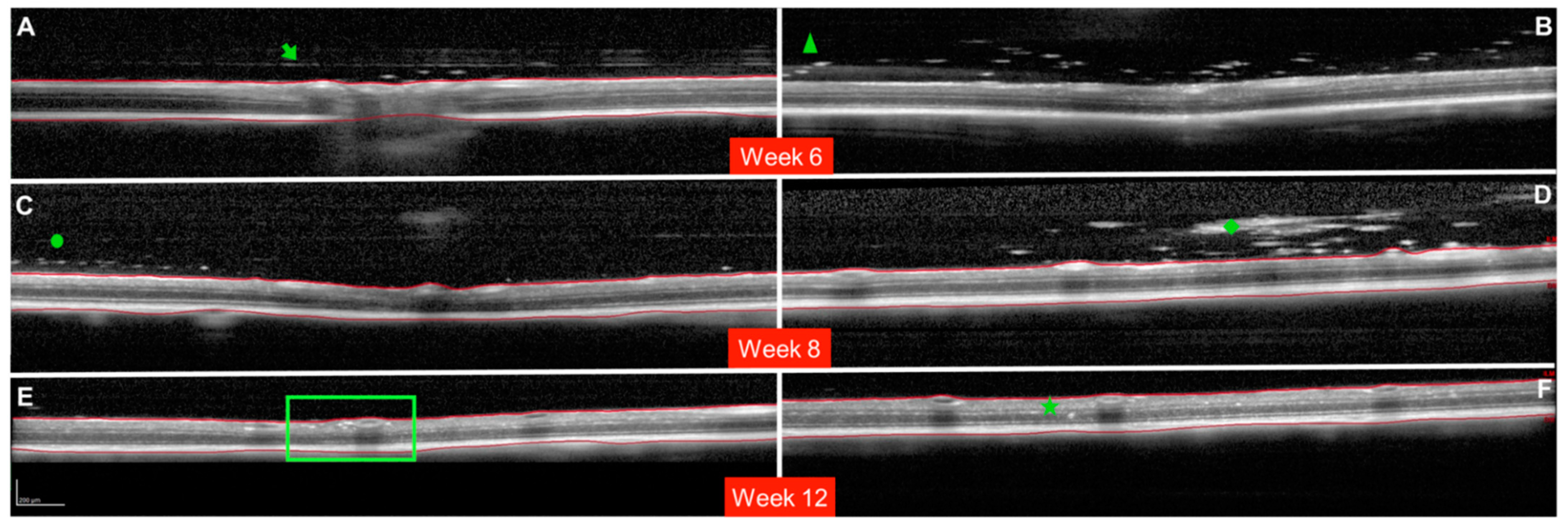 Pharmaceutics 13 00217 g002
