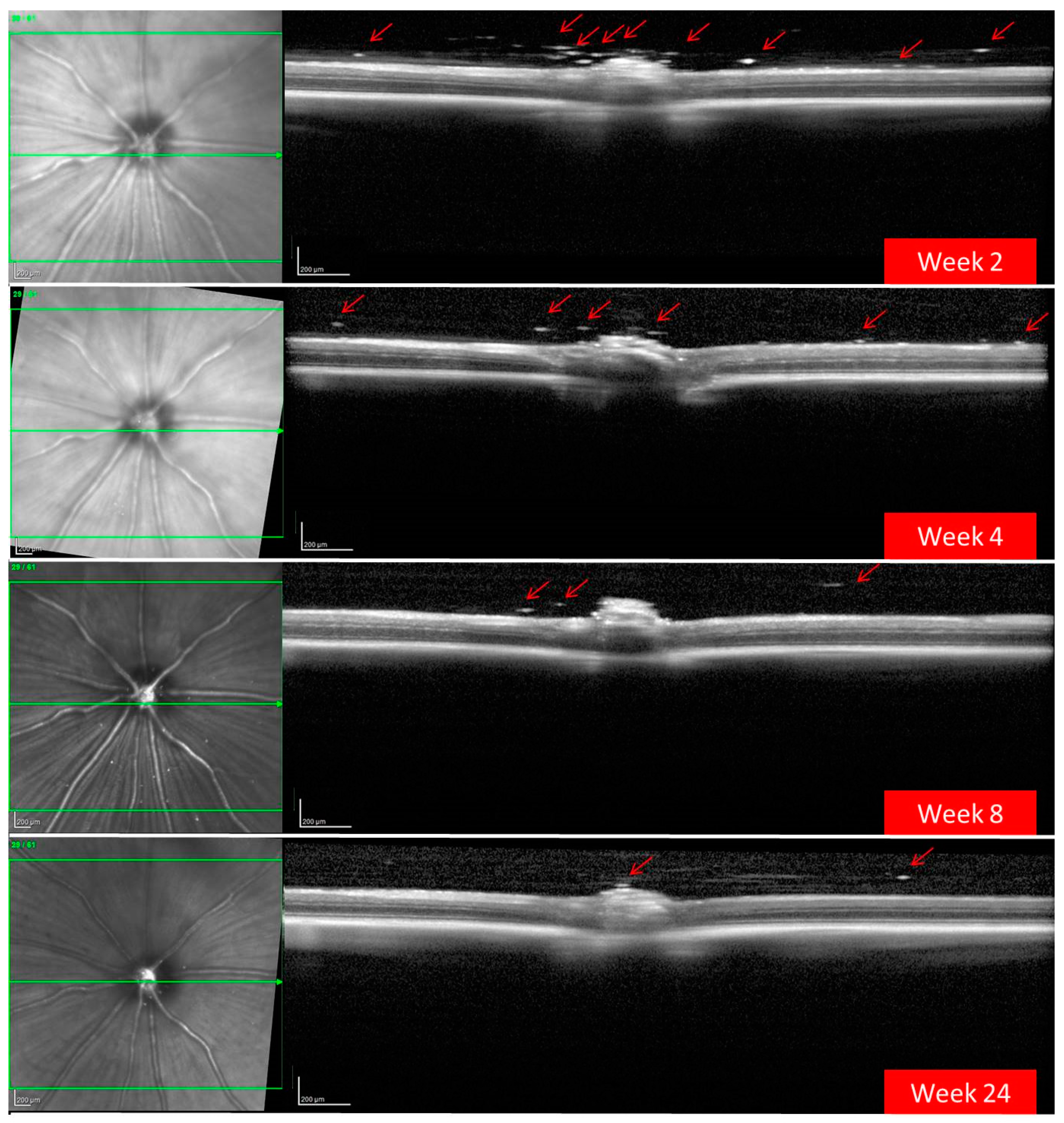 Pharmaceutics 13 00217 g003