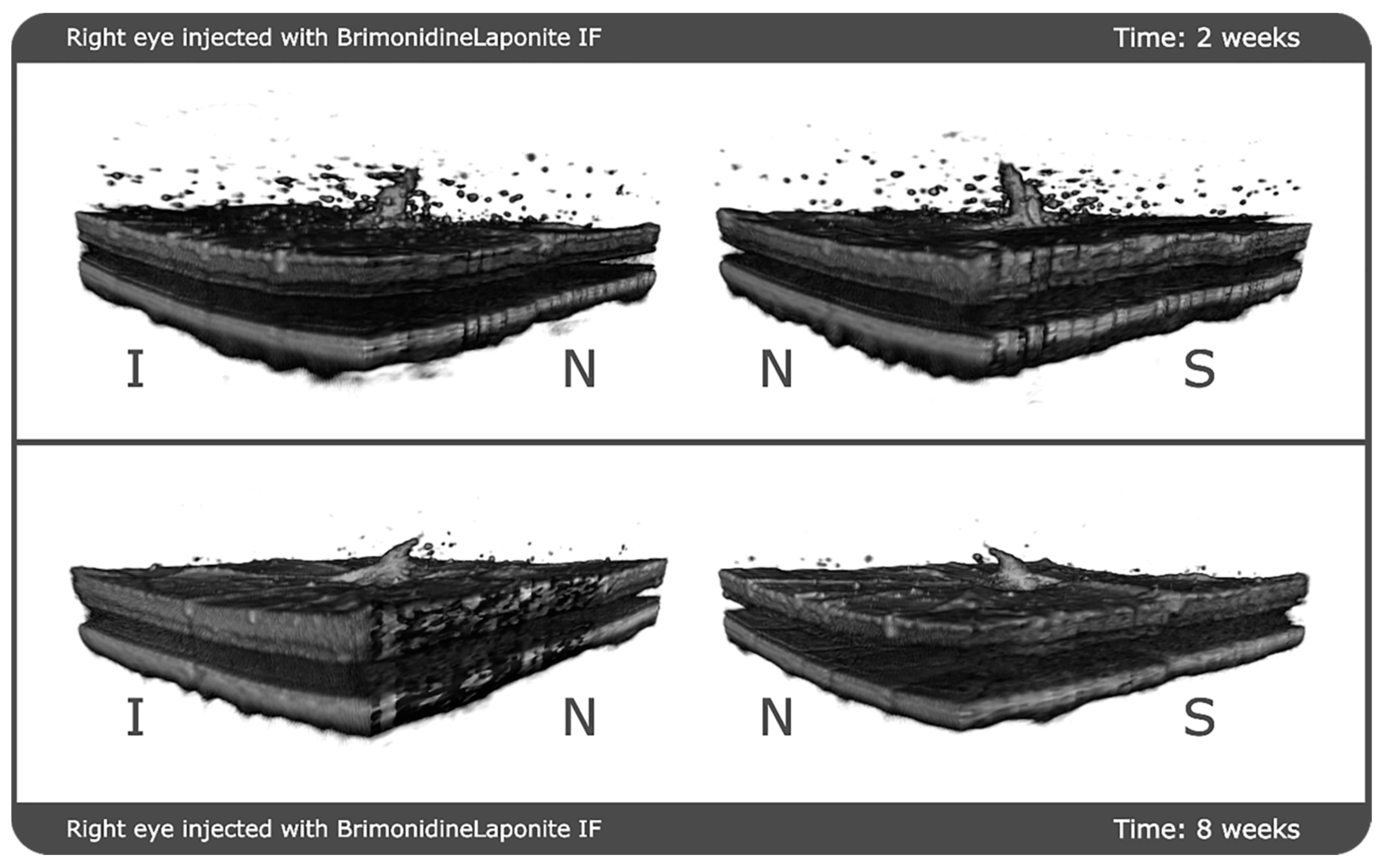 Pharmaceutics 13 00217 g006