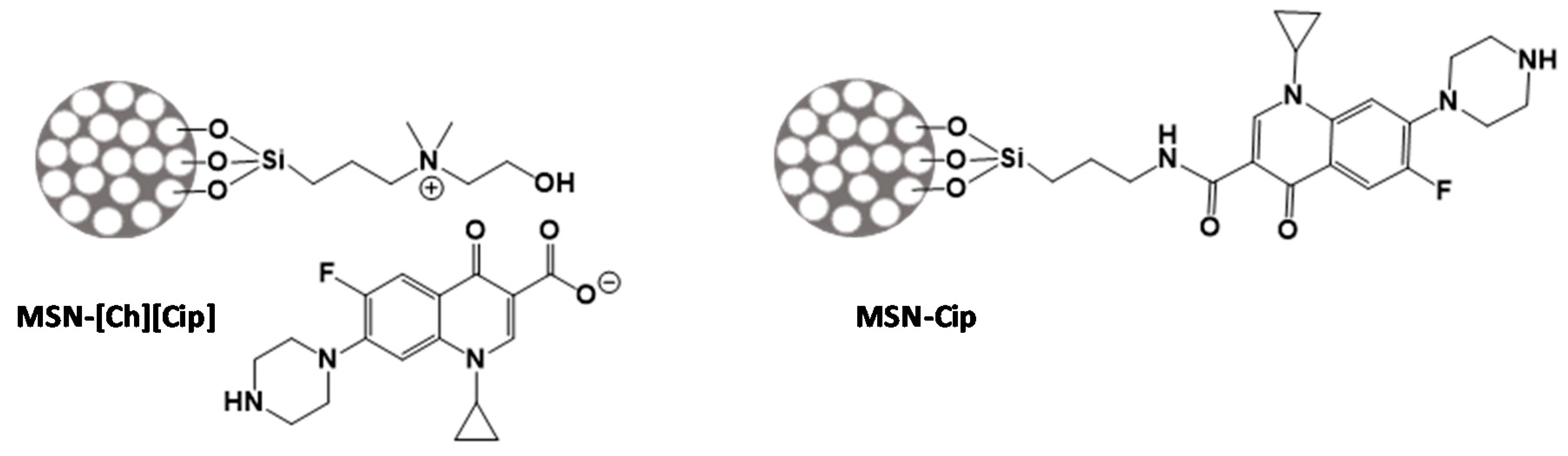 Pharmaceutics 13 00218 g001
