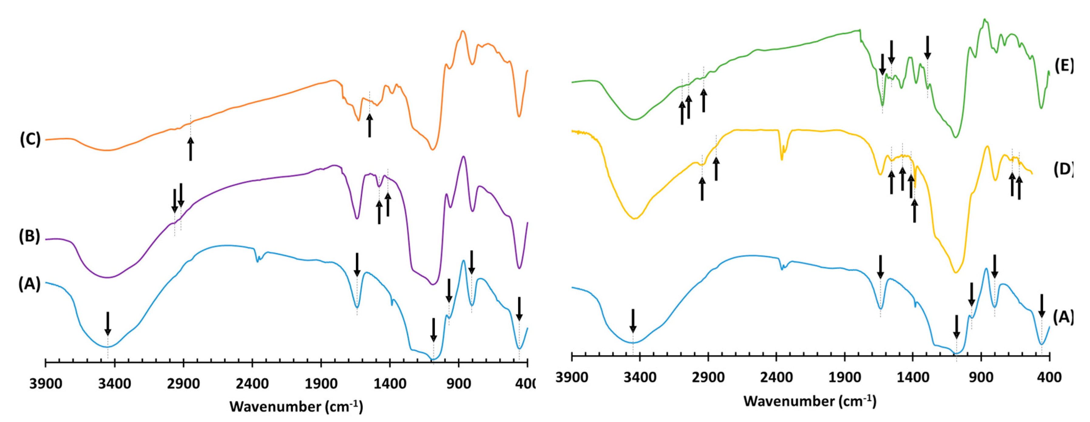 Pharmaceutics 13 00218 g004
